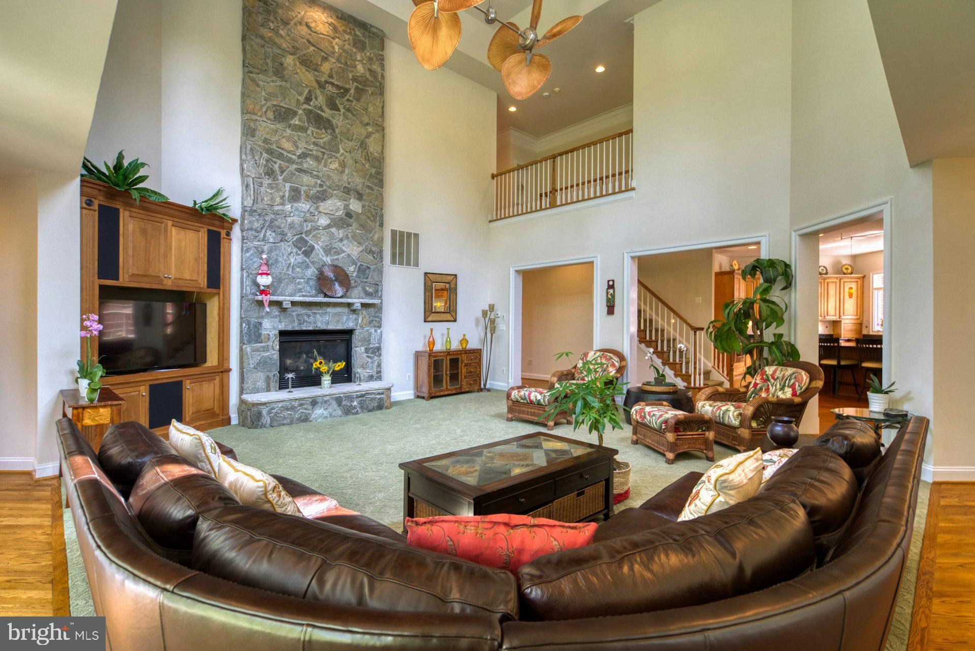 CATHEDRAL FOREST - Residential