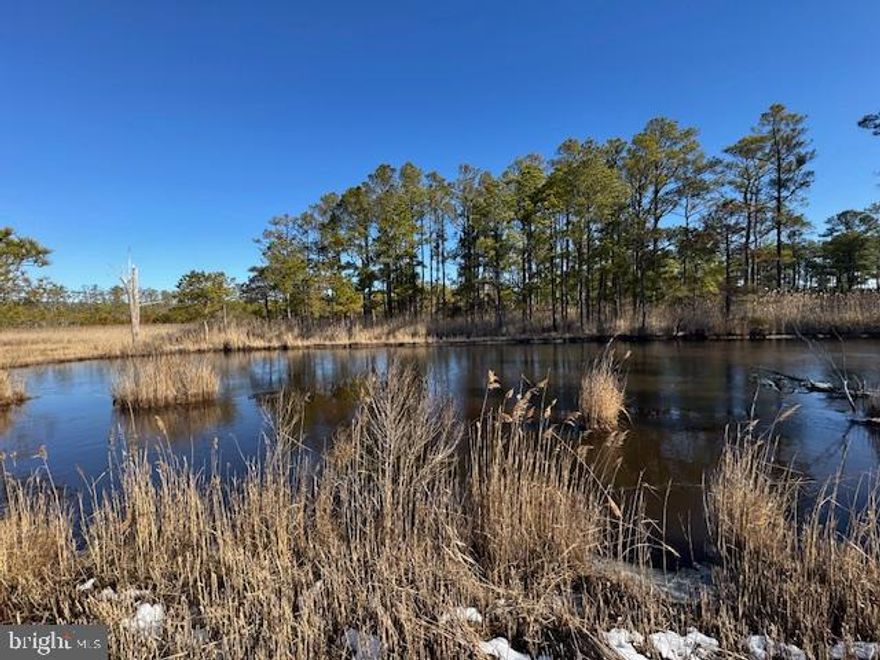 Immerse yourself into the wild where the sika deer roam and the bugles scream out on this pure adrenaline packed property. Located in the heart of sikaville, this 32 acre hunting camp has it all! Upon entering the property you will be greeted with a nice 60' trailer that you can call home while at camp, and a huge old barn for ALL your storage needs. This property is already set up and ready to roll, with 3 hunting sites that come with tripod feeders on platforms, and alfalfa feeders to keep those sika coming! There is one super nice  elevated box blind that conveys with the property as well along with a couple hang-on stands and sticks, plus a bonus tripod feeder that can be hunted right from the trailer. This land is laid out nicely for multiple people to hunt, with great access to all stand sites by foot or atv, making the hunting experience that much more enjoyable. If you enjoy waterfowl hunting, and fishing, there are several ponds on the property that are sure to please as well. In the ponds you will find snakeheads, bass, crappie, and white perch, and during hunting season you may be able to take some ducks and geese from them as well. When not afield, you can relax in the comforts of the trailer that comes fully furnished with 3 beds, sofa and chairs, kitchen table, and accessories. The trailer has a full bathroom, but the current tankless hotwater heater needs repaired or replaced. No well or septic, but trailer has water tank inside for all your needs, and a septic holding tank that can be pumped out once a year for around $400. There is full electric for the trailer and the barn. This is the perfect space to accompany your time while hunting the property. This prime location is also right across the street from the public launch to Fishing Bay so you can easily expand your range of hunting. This is truly a unique little property that is sure to fullfill all your wildest dreams of chasing the marsh ghost! 

Please note that the tax map is not correct and that a survey is recorded to show the true 32 acres.