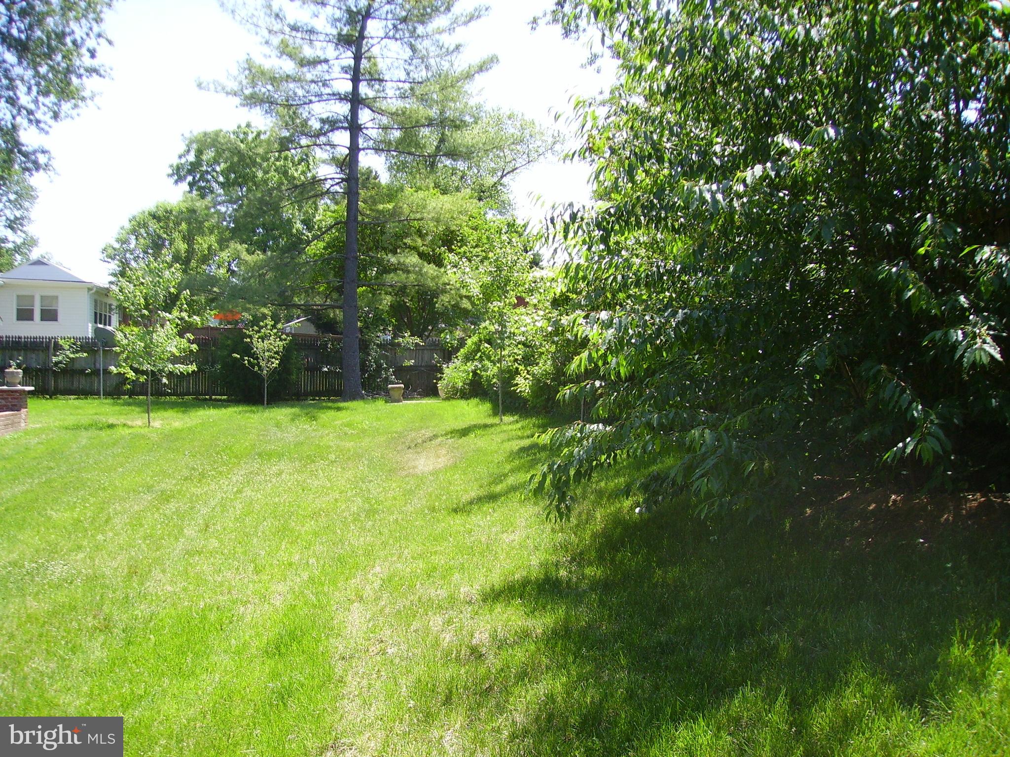 GLEN FOREST - Residential Lease