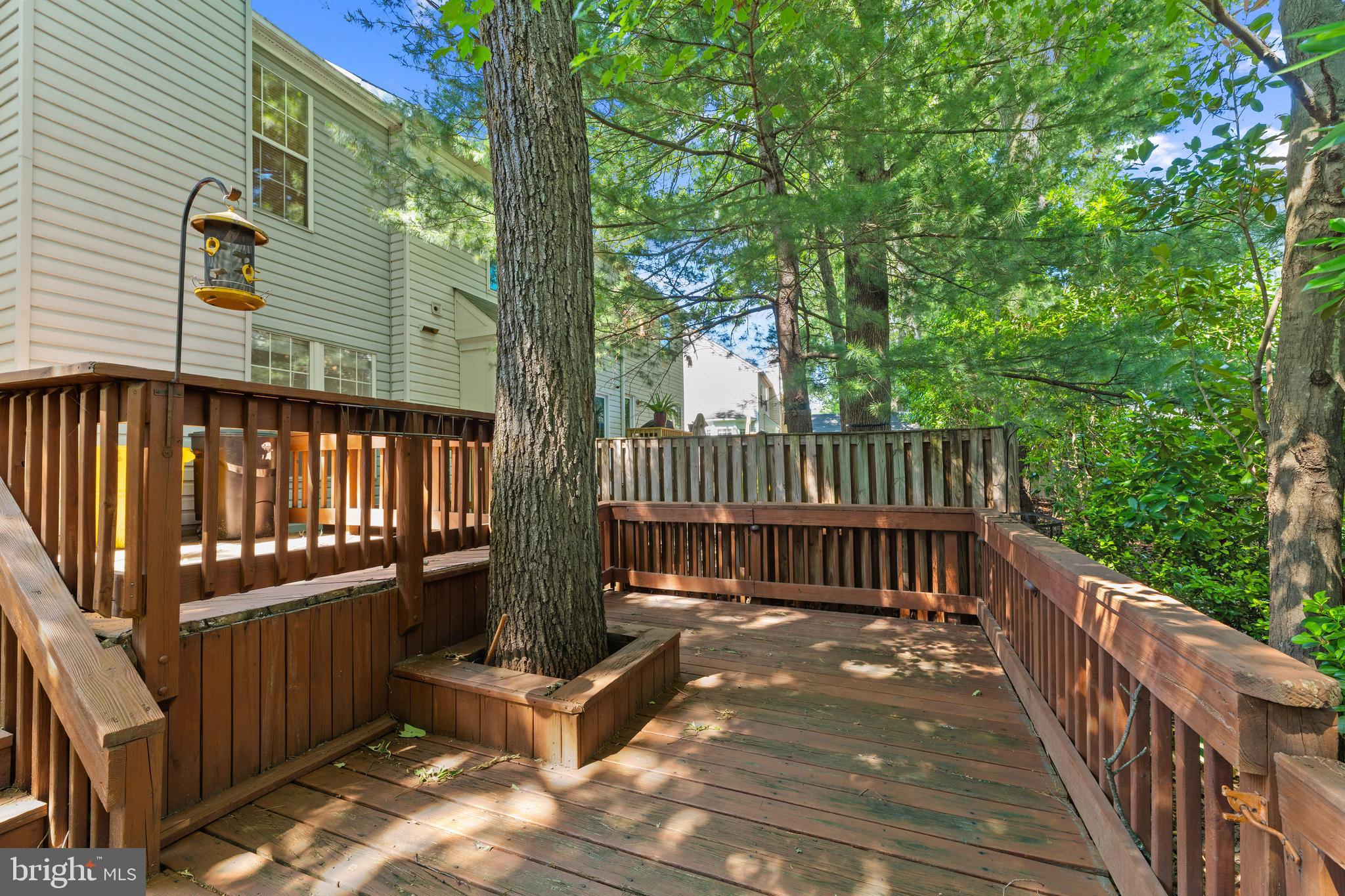 LIONS GATE - Residential