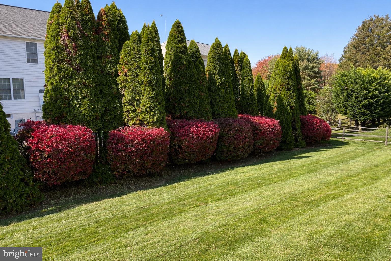 CASTLE BLANEY - Residential