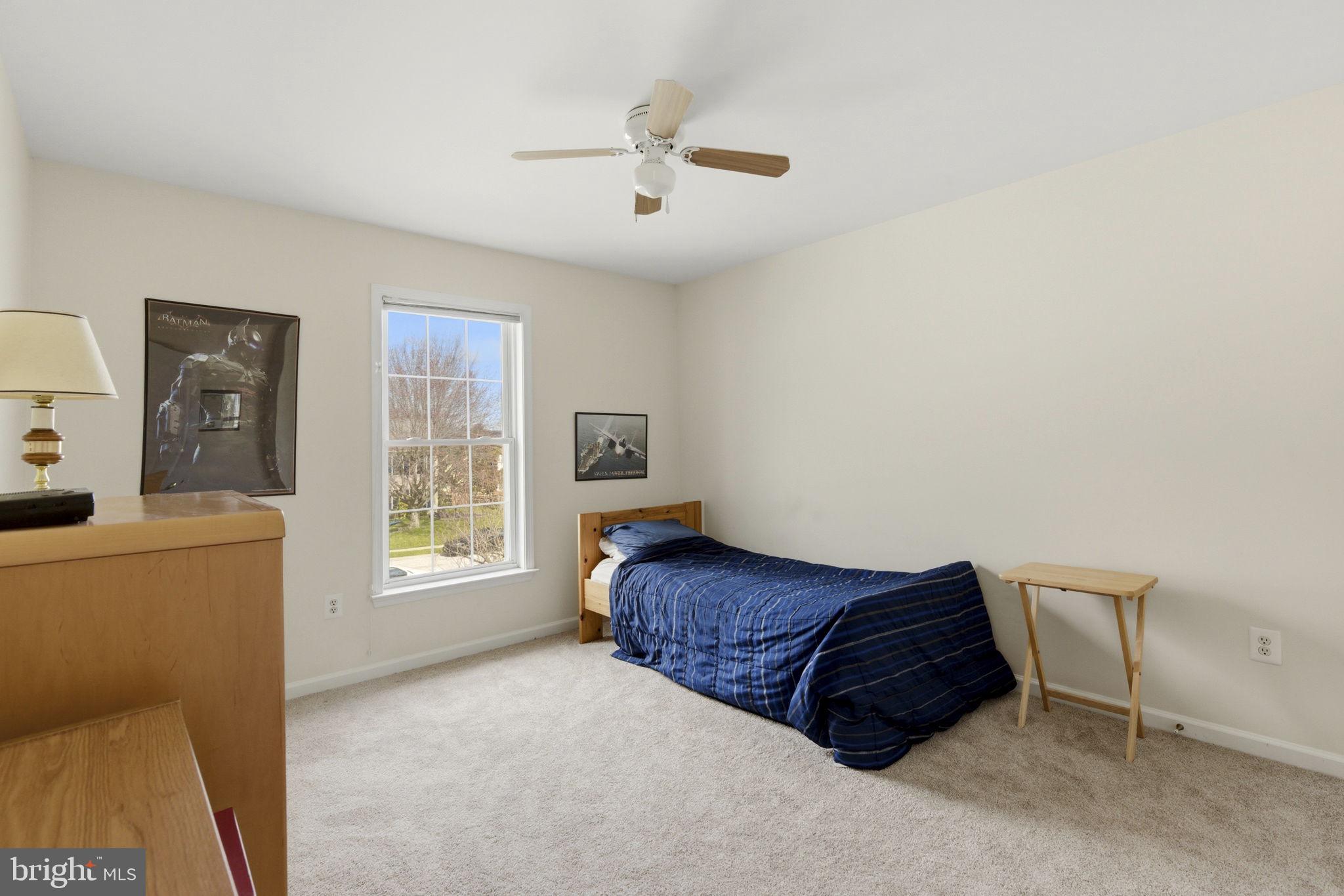 CASTLE BLANEY - Residential