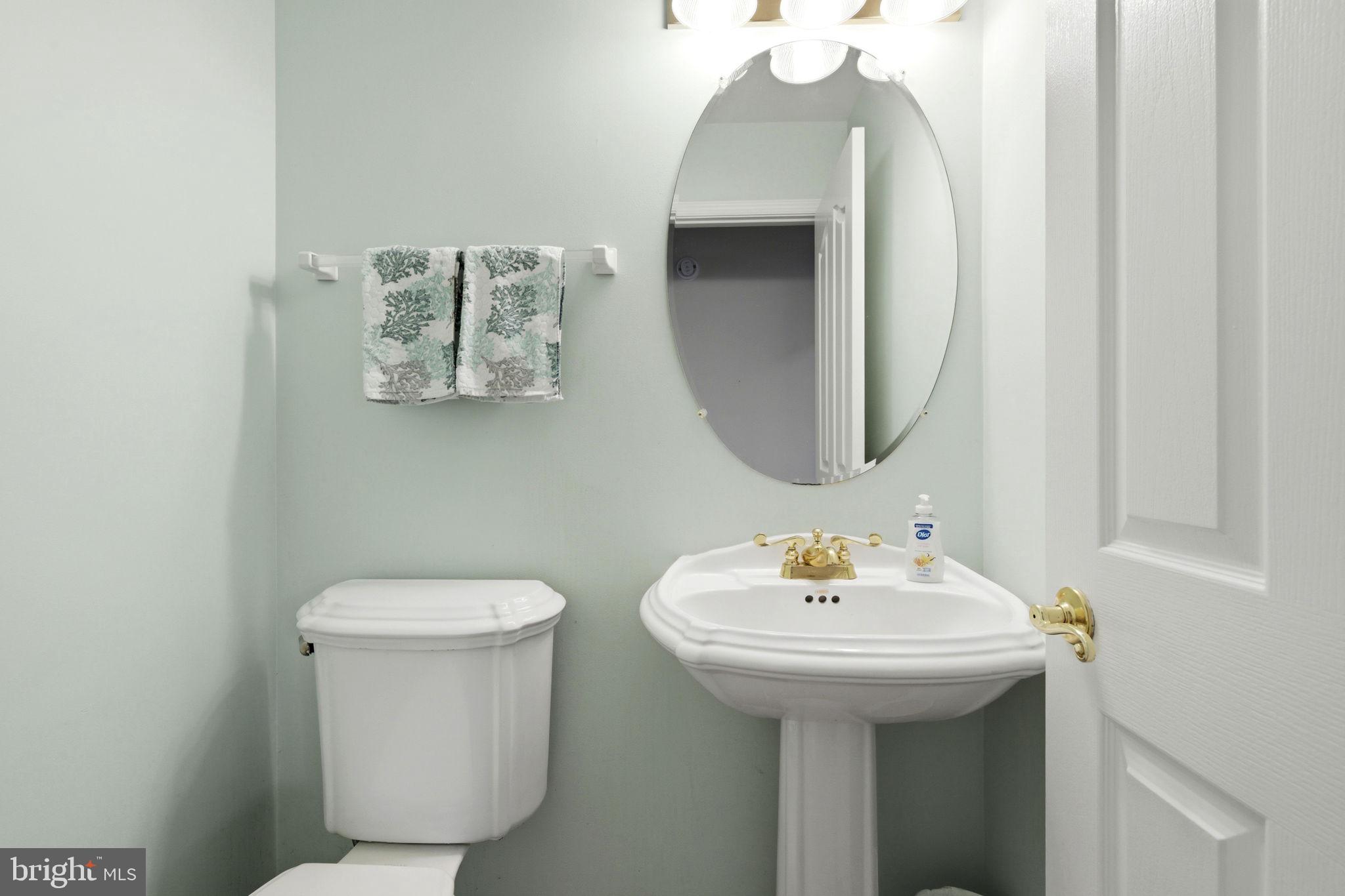 CASTLE BLANEY - Residential