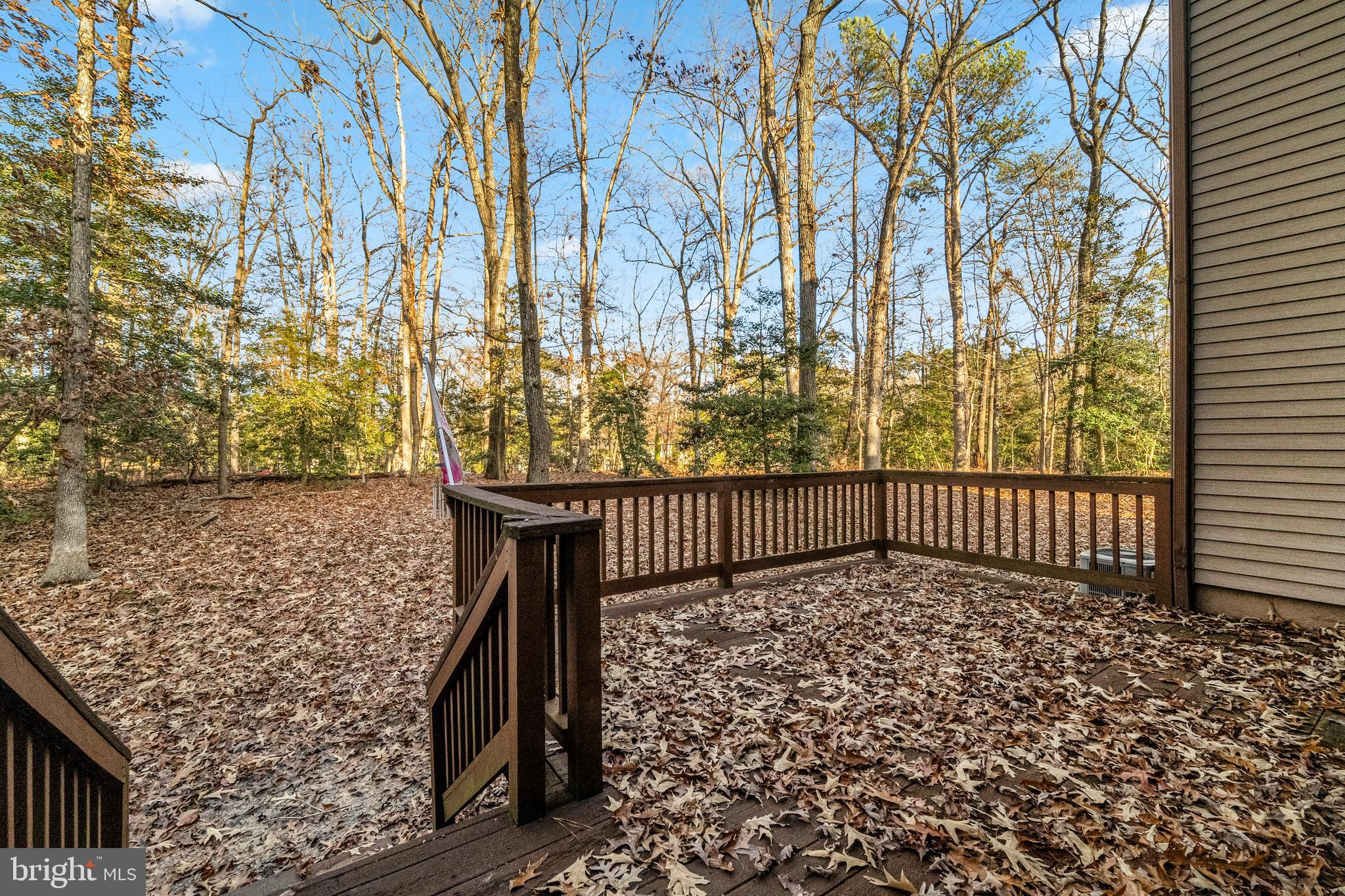 ORCHID PARK OF WILDEWOOD - Residential