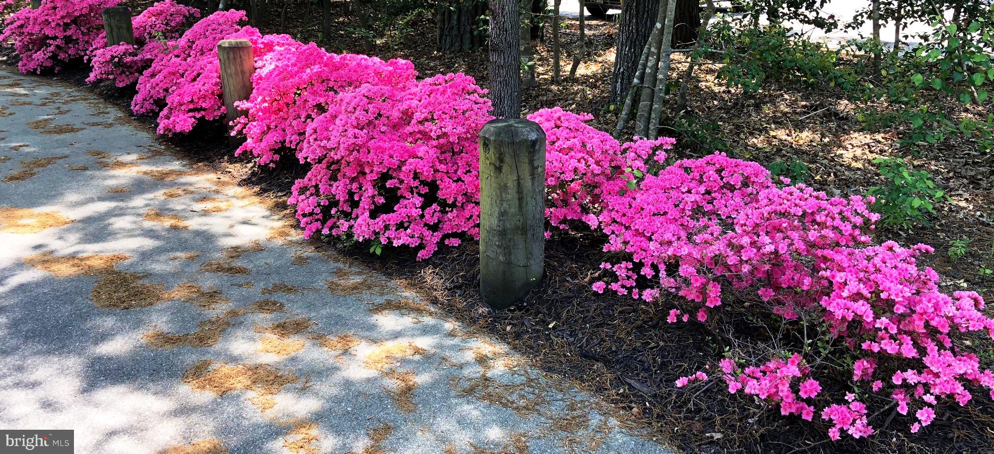 SOLOMONS LANDING - Residential