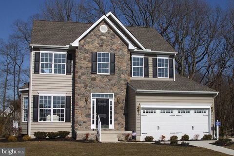 203 OLIVE BRANCH ROAD STEVENSVILLE MD 21666