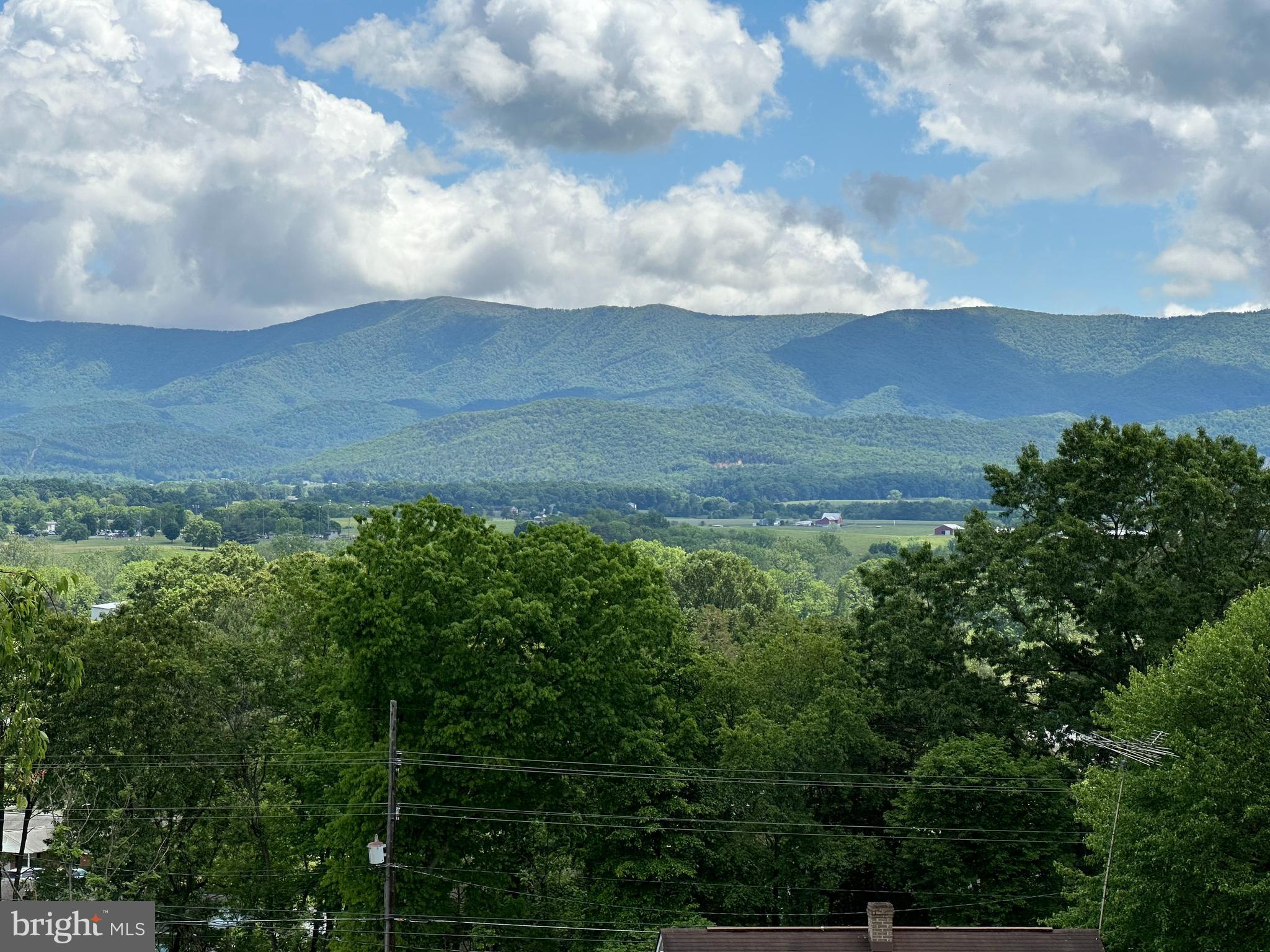 FOREST HILLS - Residential