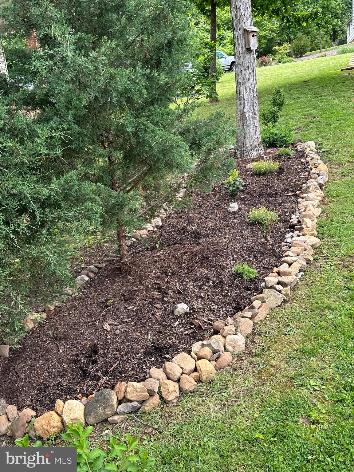 FOREST HILLS - Residential