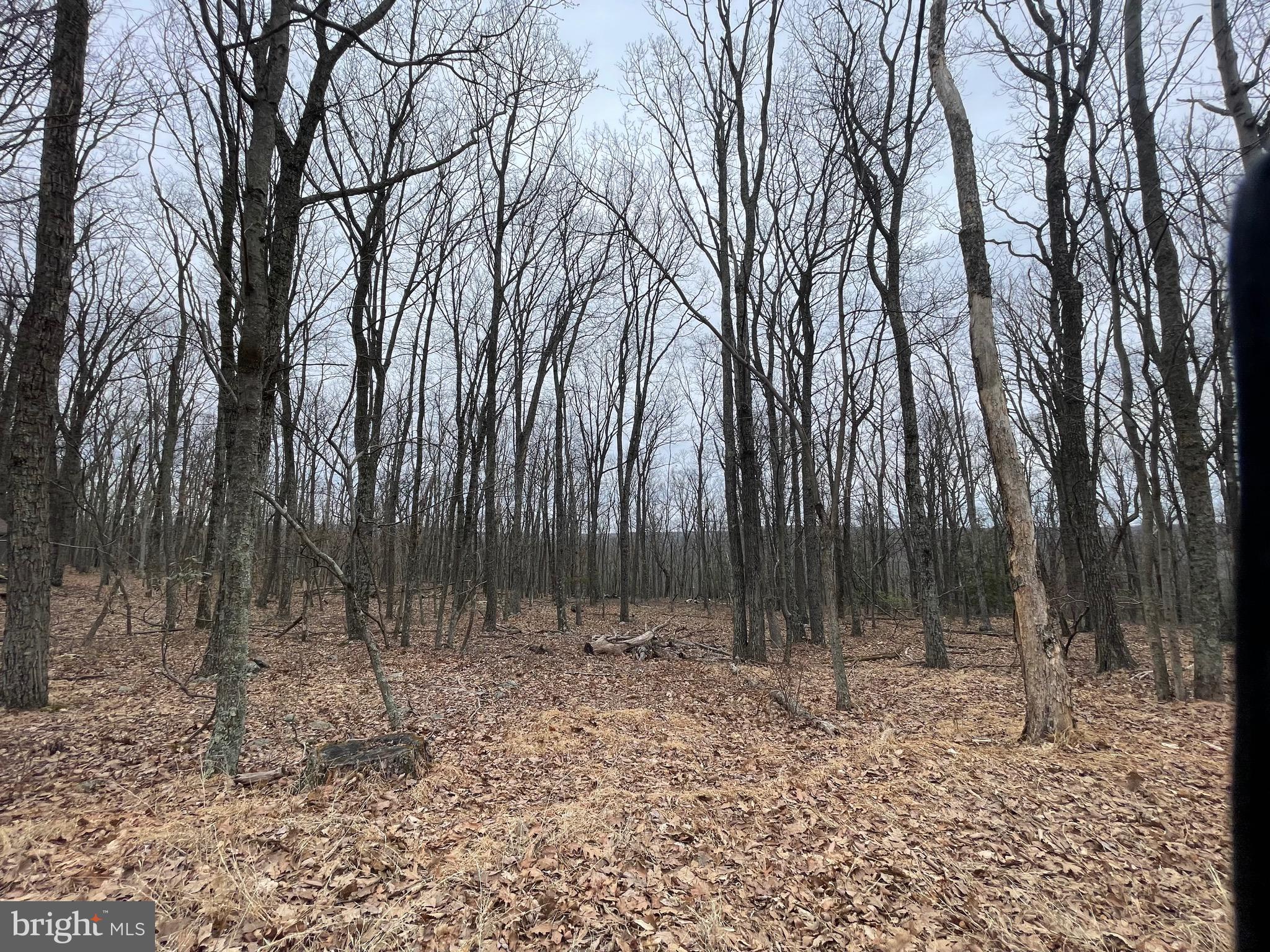 1.9 acre building lot perched atop the mountain of COVE VILLAGE! These are two adjoining lots being sold together. The dues, capital contribution fee, and transfer fee included with the listing reflect this. Looking for more privacy or even better views? Carve out your own piece of heaven by purchasing some of the 4 additional adjoining lots! Clear the lower lots and optimize your view! The slope of the lower lots would allow for a gorgeous walkout basement and upper level deck! Whether you're thinking of building a ranch, a chalet, a log cabin, or any other style home you will love what these lots have to offer. So if you've been waiting to build a second home or your forever home, WAIT NO MORE! The Cove Village Community is situated in the foothills of the Poconos and only 1 1/2 hours to New York, With easy access to I-81 your commute to Hazleton, Wilkes Barre, or Scranton is a breeze. Another cost-saving perc of the community is having public water and sewer already in place and ready for you to connect through Aqua of Pa. 750 acres of unoccupied prime hunting, ATV, and snowmobile riding land surround the residential portion of Cove Village and is allocated only for the residents of the community and their guests! Driving through the community, the peace and tranquility will envelop you. At any given moment the deer, turkey, and birds will entertain you in your own backyard. Homes within the community vary from rustic cabins and chalets to traditional ranch or two-story homes and even exquisite new construction or dreamy mountain log homes. There really is something for everyone. The approximately 278 acres of residential homes and lots are occupied by full-time residents, part-time vacation homes, and even some snowbird second homes. Cove Village offers an abundance of amenities including a swimming pool, stocked fishing lake, a basketball court, tennis courts, a volleyball court, 2 playgrounds, a baseball field, ATV paths, hunting, a mini golf course, walking paths, and year-round Community events. I can't forget to mention the beautiful lodge ideal to rent for family gatherings. This lot and community just might be exactly what you've been looking for. Air B and B are not permitted. Camping on vacant lots is not permitted. Mobile/Manufactured homes are not permitted. Modular and custom built homes with the builder of your choosing are permitted. All homes must meet the minimum square footage requirements of 1400 square feet. The community maintains the roads and snow removal. Trash collection is also provided. Lot is part of a large subdivision and acreage is an estimate based on similar lots. Actual acreage will be provided in the legal description at closing. An appointment is required to view due to the gated community. Call to schedule your tour today!