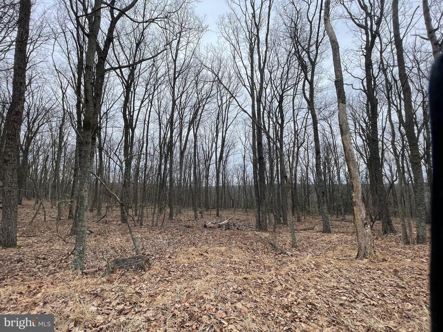 1.9 acre building lot perched atop the mountain of COVE VILLAGE!  These are two adjoining lots being sold together.  The dues, capital contribution fee, and transfer fee included with the listing reflect this.   Looking for more privacy or even better views?  Carve out your own piece of heaven by purchasing some of the 4 additional adjoining lots!   Clear the lower lots and optimize your view!  The slope of the lower lots would allow for a gorgeous walkout basement and upper level deck!  Whether you're thinking of building a ranch, a chalet, a log cabin, or any other style home you will love what these lots have to offer. So if you've been waiting to build a second home or your forever home, WAIT NO MORE!  The Cove Village Community is situated in the foothills of the Poconos and only 1 1/2 hours to New York,  With easy access to I-81 your commute to Hazleton, Wilkes Barre, or Scranton is a breeze.  Another cost-saving perc of the community is having public water and sewer already in place and ready for you to connect through Aqua of Pa.   750 acres of unoccupied prime hunting, ATV, and snowmobile riding land surround the residential portion of Cove Village and is allocated only for the residents of the community and their guests!  Driving through the community, the peace and tranquility will envelop you.  At any given moment the deer, turkey, and birds will entertain you in your own backyard.   Homes within the community vary from rustic cabins and chalets to traditional ranch or two-story homes and even exquisite new construction or dreamy mountain log homes.  There really is something for everyone.  The approximately 278 acres of residential homes and lots are occupied by full-time residents, part-time vacation homes, and even some snowbird second homes.  Cove Village offers an abundance of amenities including a swimming pool, stocked fishing lake, a basketball court, tennis courts, a volleyball court, 2 playgrounds, a baseball field, ATV paths, hunting, a mini golf course, walking paths, and year-round Community events.  I can't forget to mention the beautiful lodge ideal to rent for family gatherings.   This lot and community just might be exactly what you've been looking for.  Air B and B are not permitted. Camping on vacant lots is not permitted.  Mobile/Manufactured homes are not permitted.  Modular and custom built homes with the builder of your choosing are permitted.  All homes must meet the minimum square footage requirements of 1400 square feet.  The community maintains the roads and snow removal.  Trash collection is also provided.   Lot is part of a large subdivision and acreage is an estimate based on similar lots.  Actual acreage will be provided in the legal description at closing.  An appointment is required to view due to the gated community.  Call to schedule your tour today!