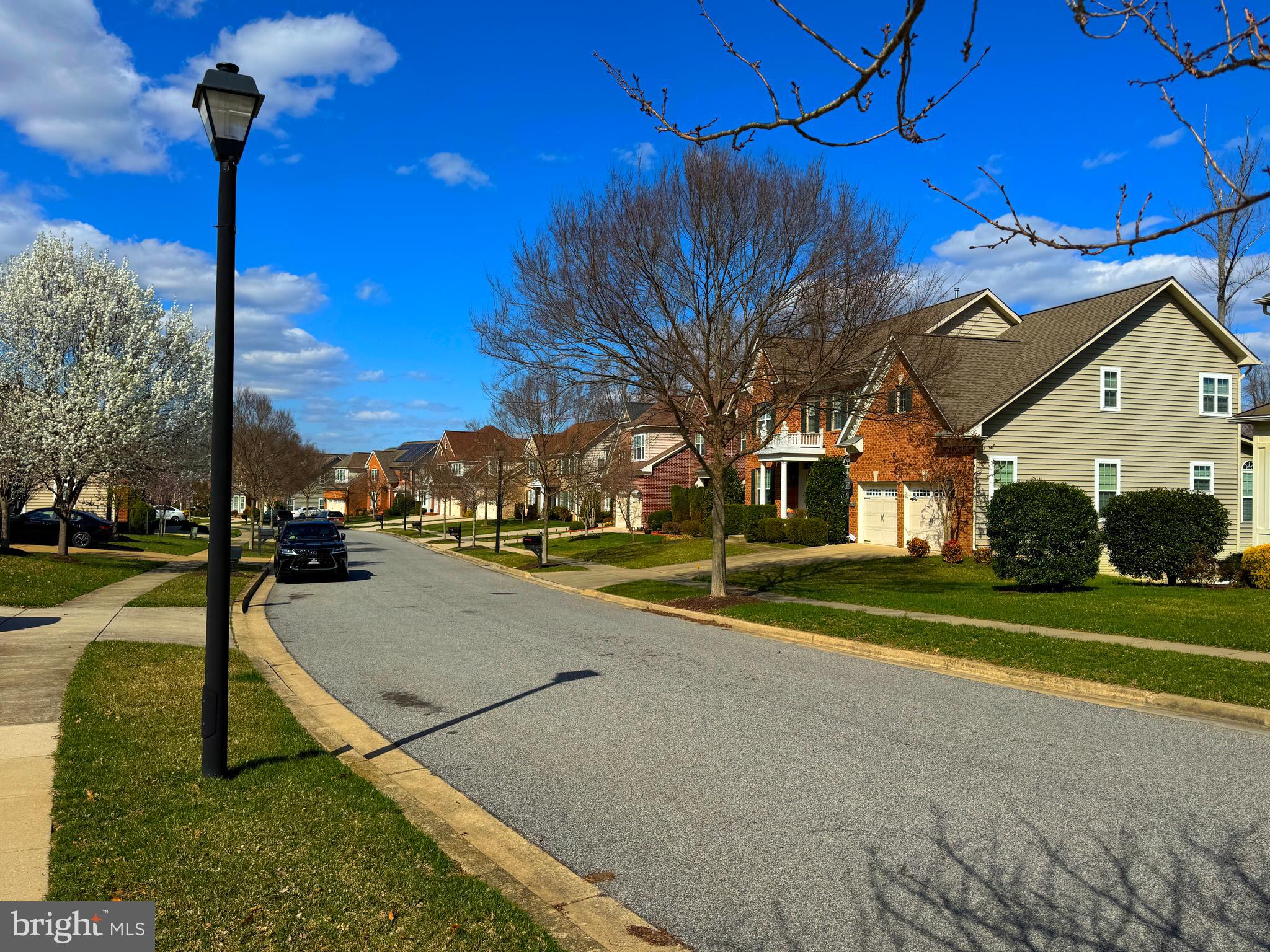 BEECHTREE - Residential