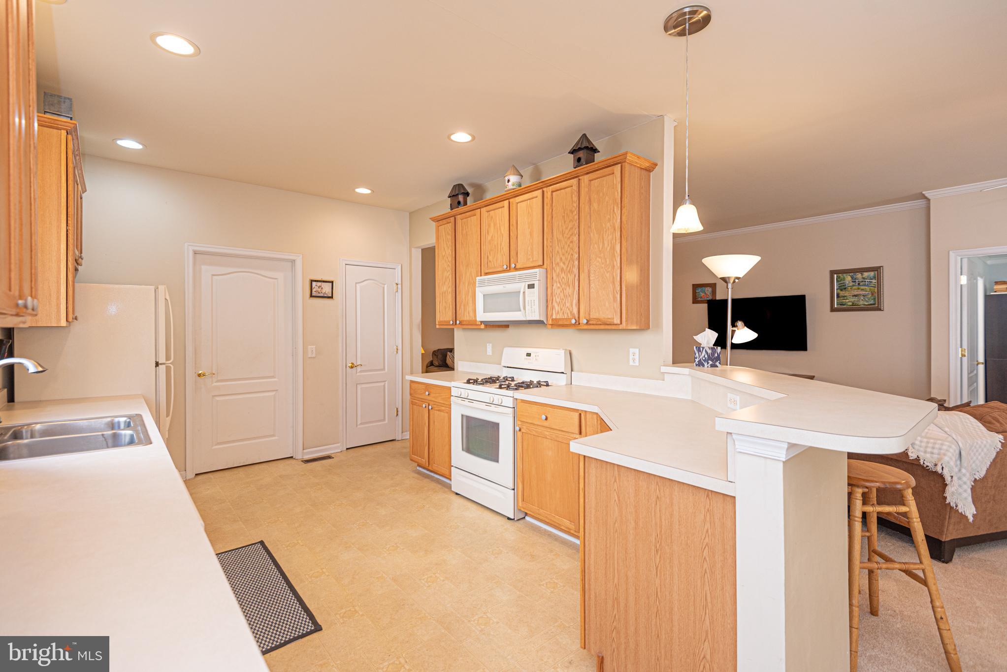 OCEAN PINES - THE PARKE - Residential