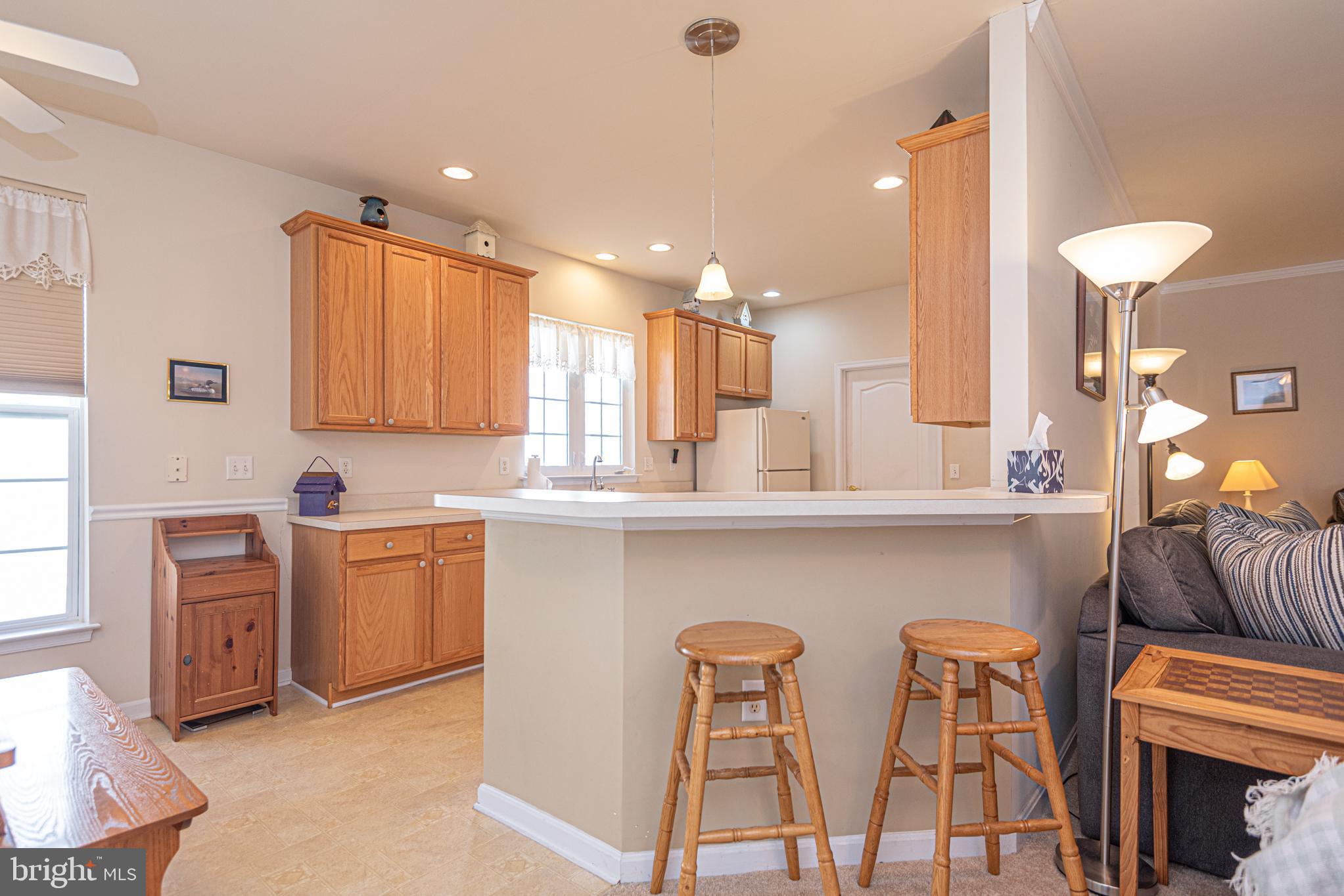 OCEAN PINES - THE PARKE - Residential