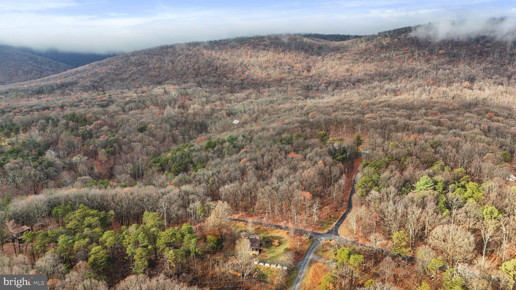 COLD SPRING FOREST - Residential