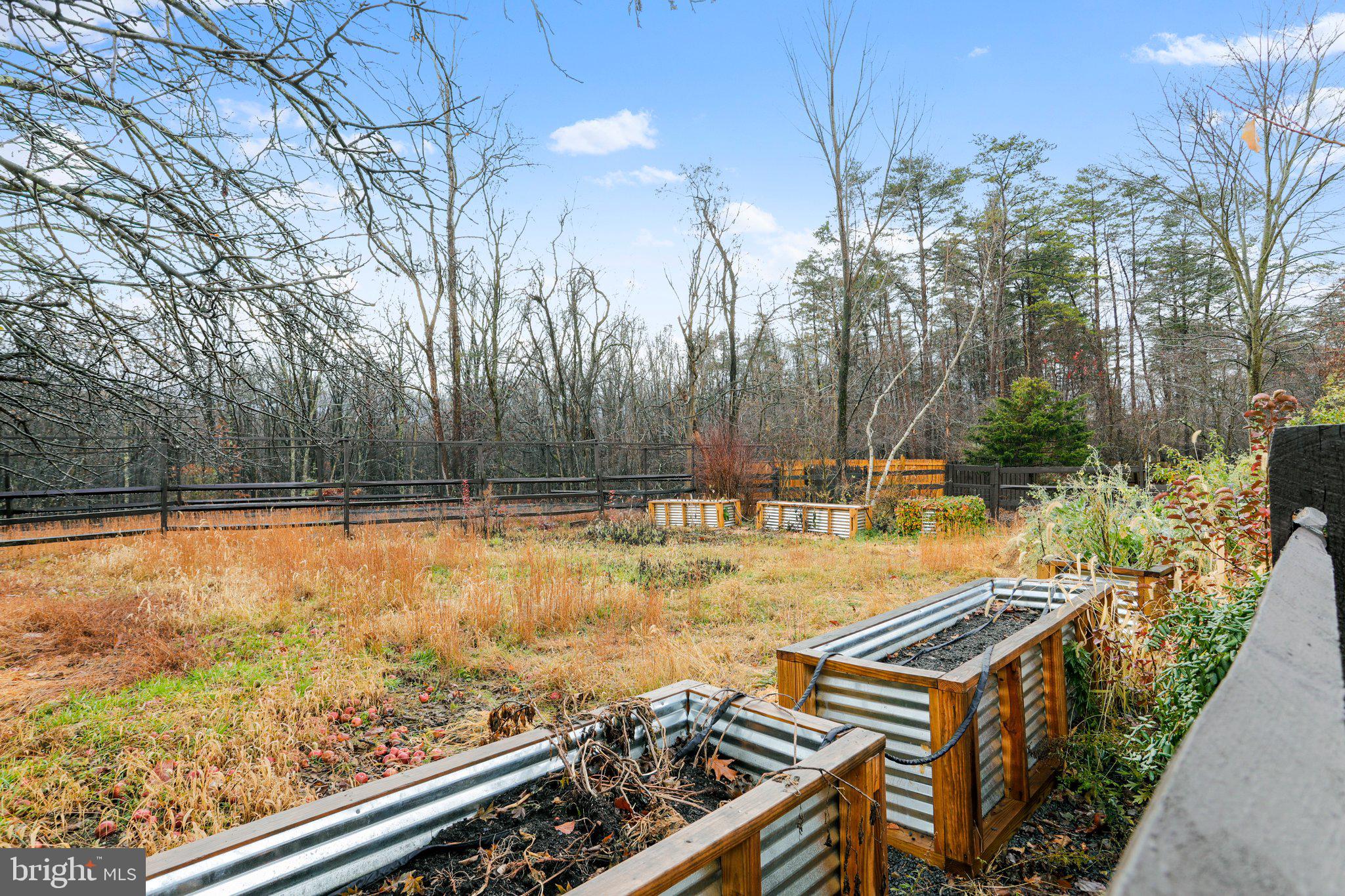 COLD SPRING FOREST - Residential