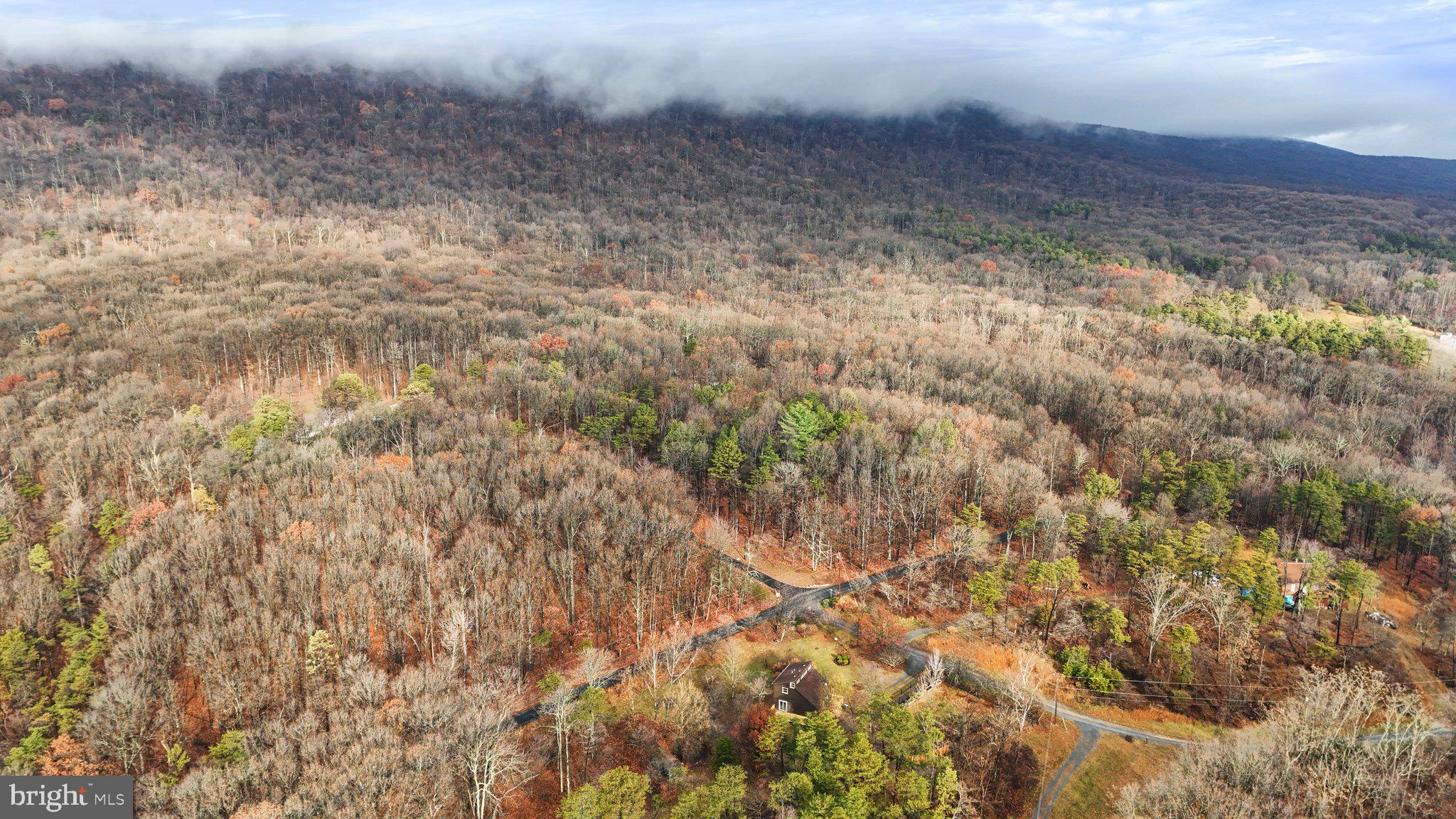 COLD SPRING FOREST - Residential