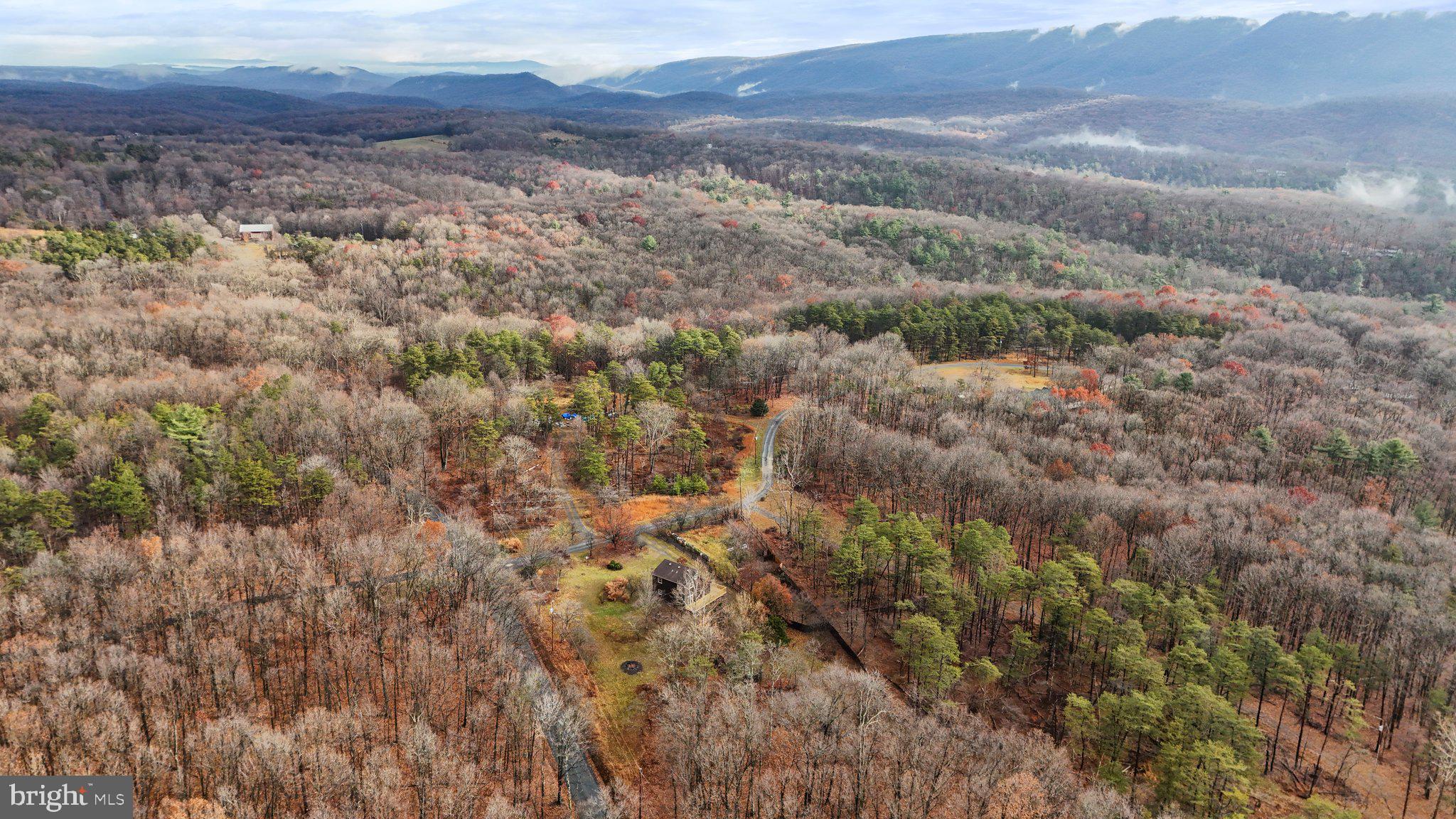 COLD SPRING FOREST - Residential