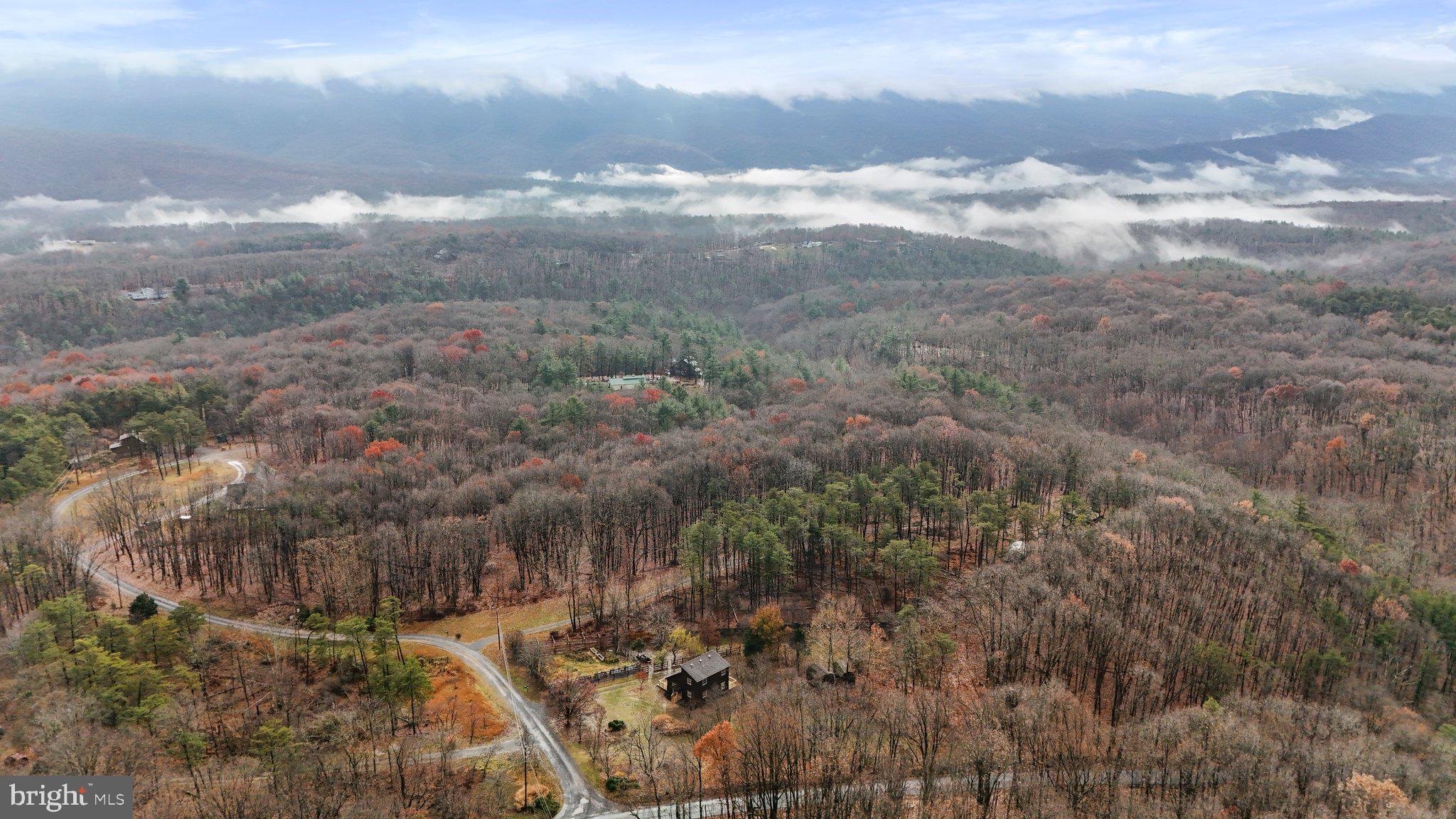 COLD SPRING FOREST - Residential