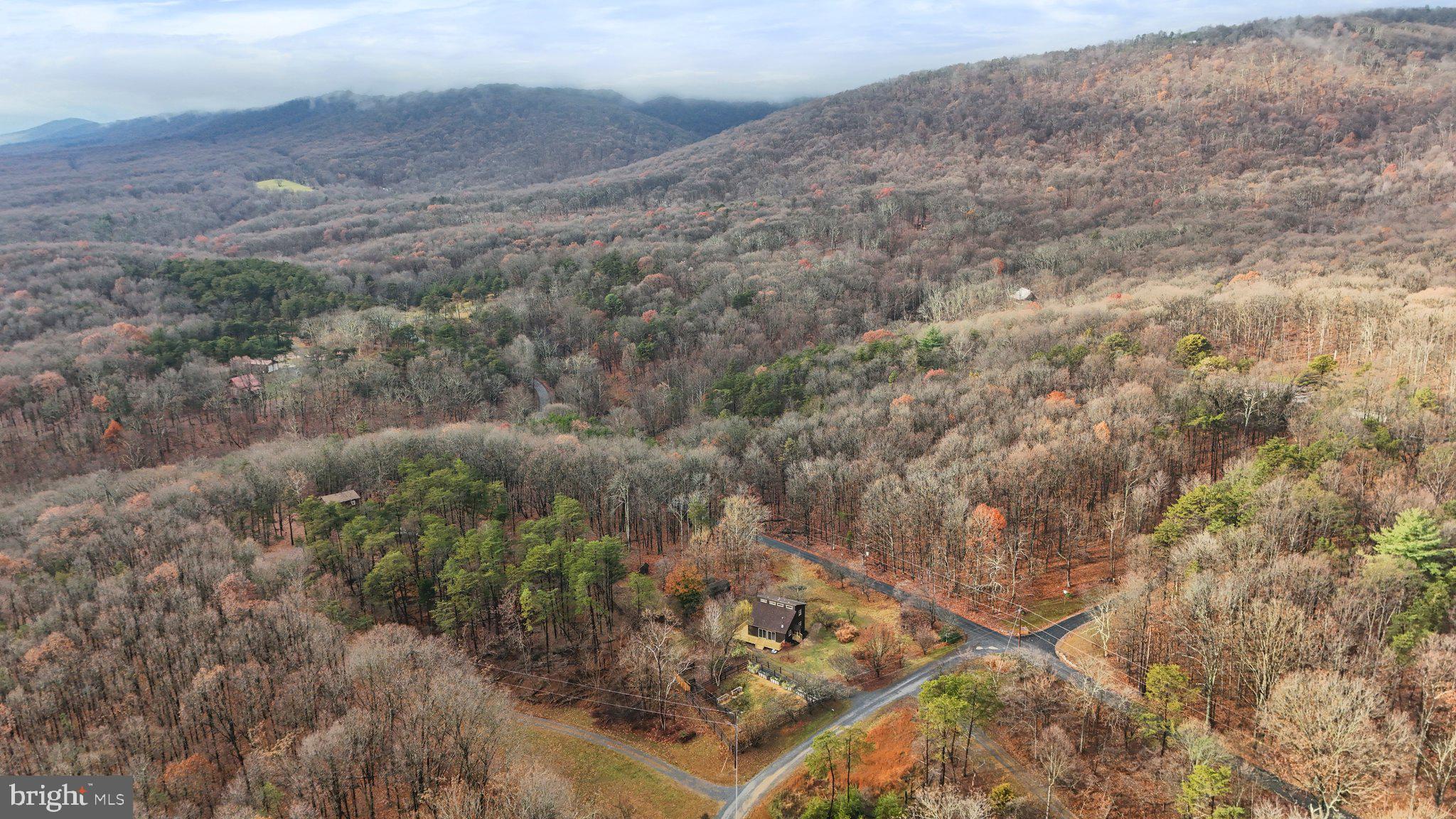 COLD SPRING FOREST - Residential