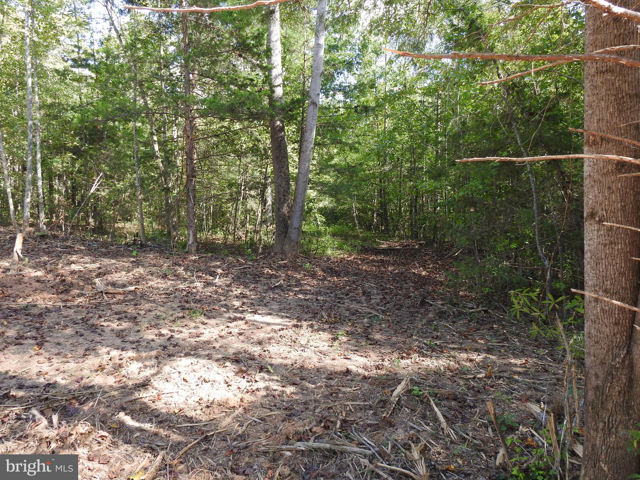 EQUESTRIAN LANDING - Land