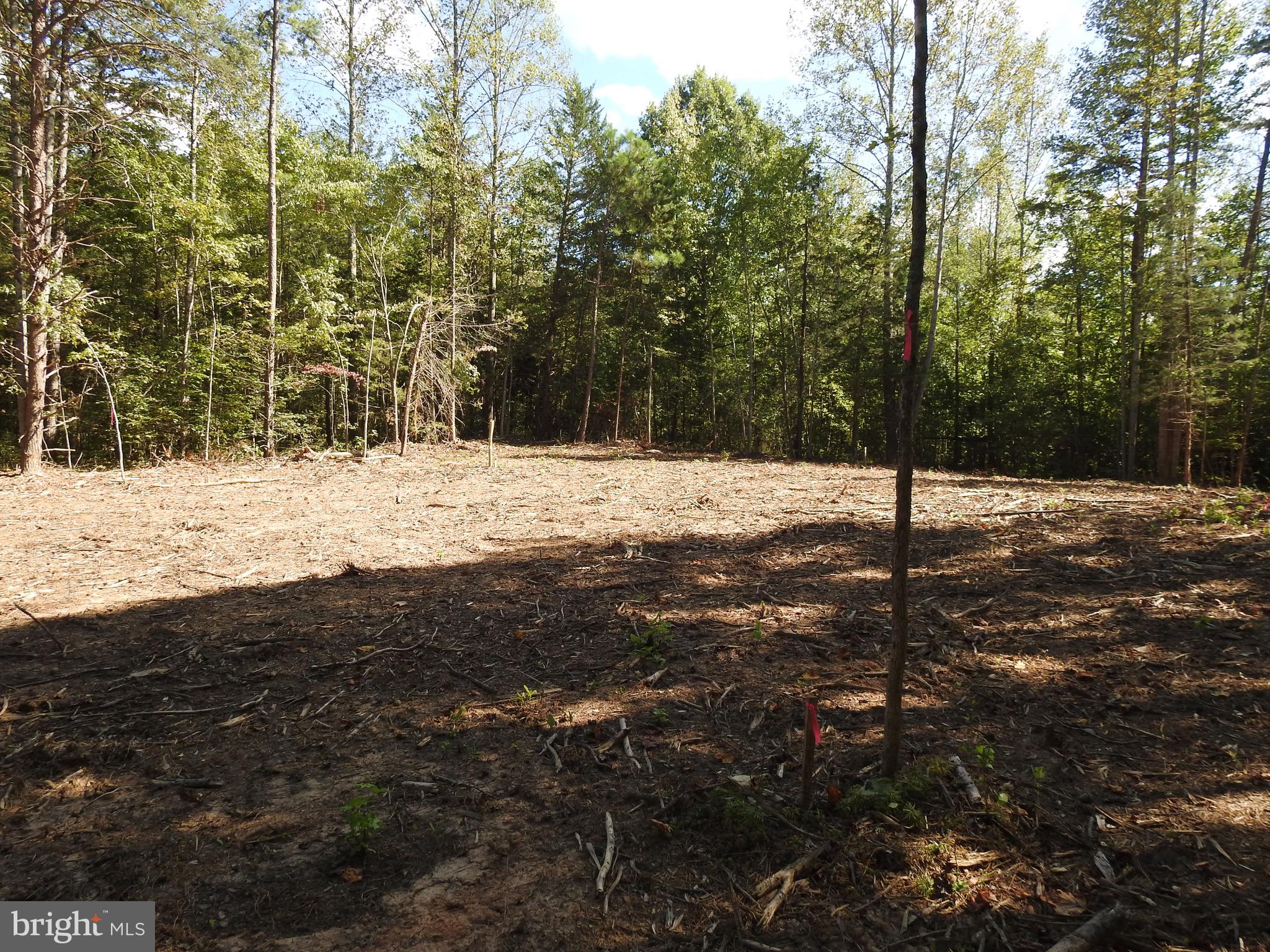 EQUESTRIAN LANDING - Land