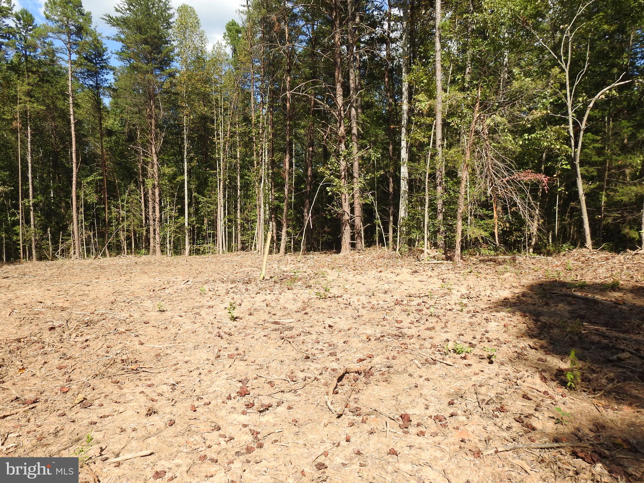 EQUESTRIAN LANDING - Land