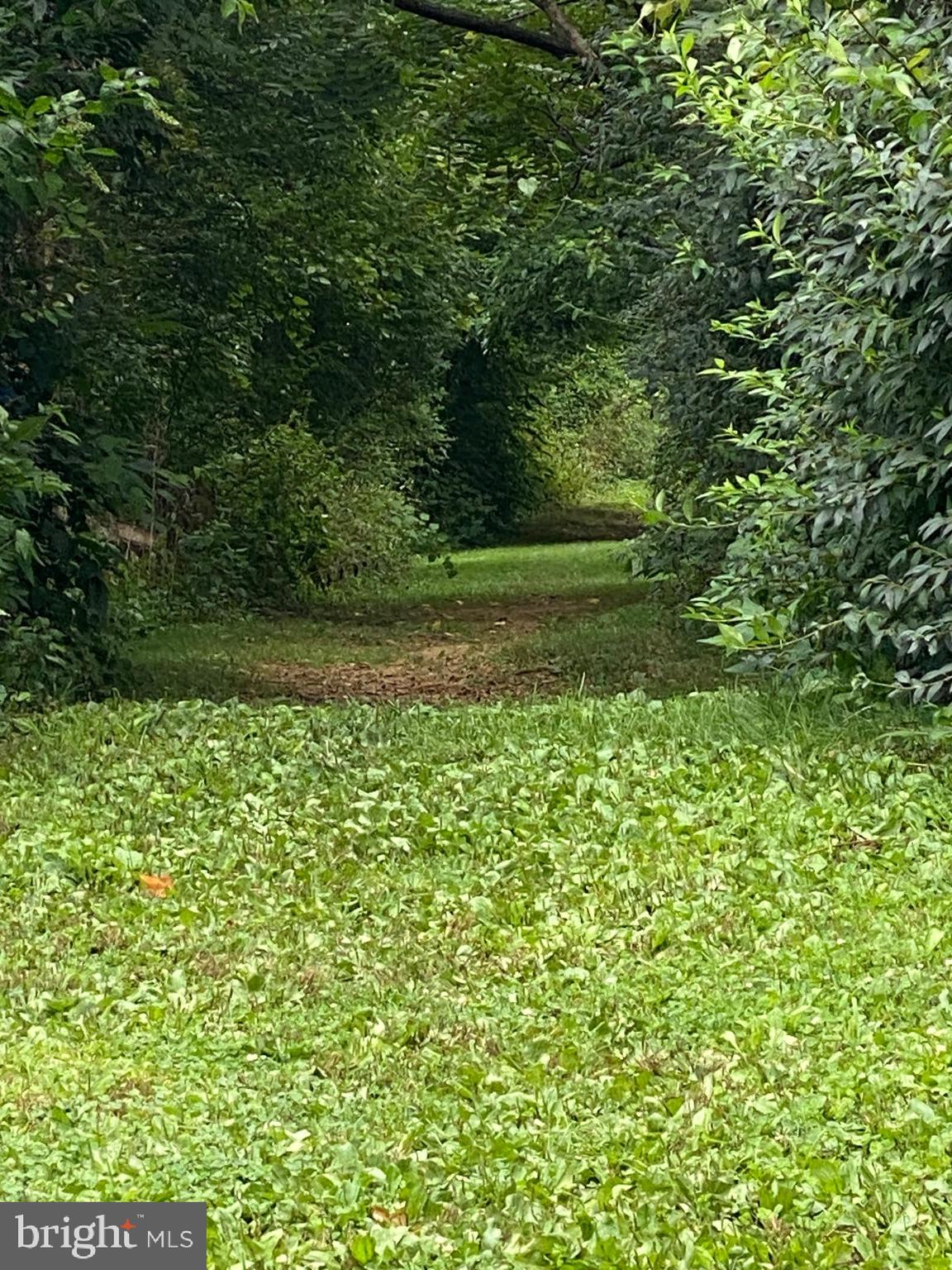 SHADOW OAK - Residential