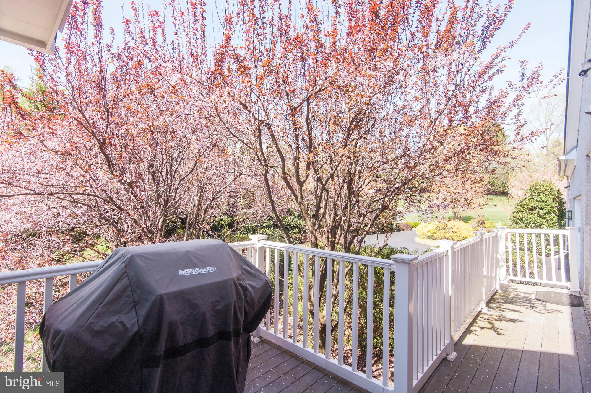 POTOMAC OUTSIDE - Residential