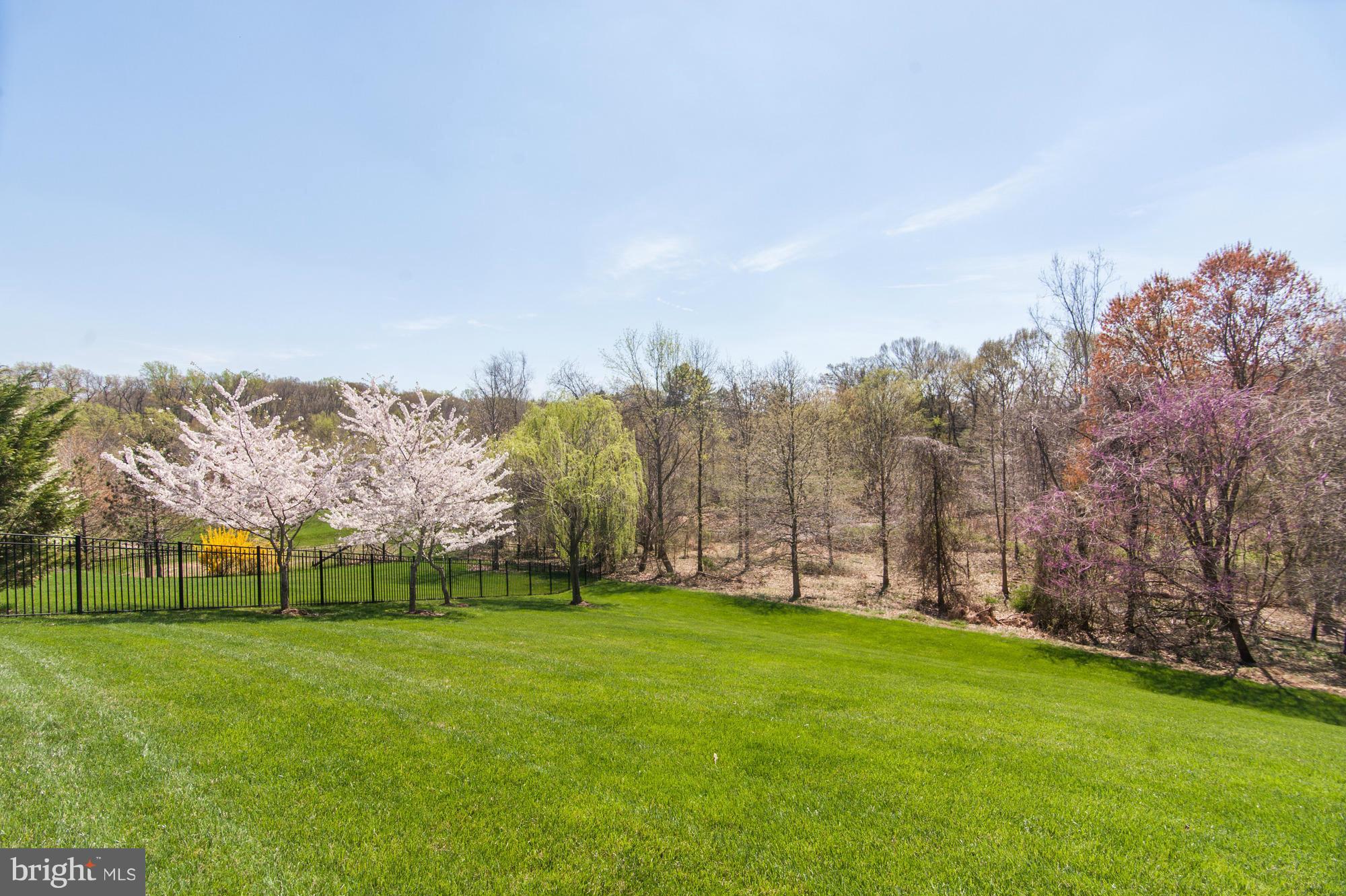 POTOMAC OUTSIDE - Residential