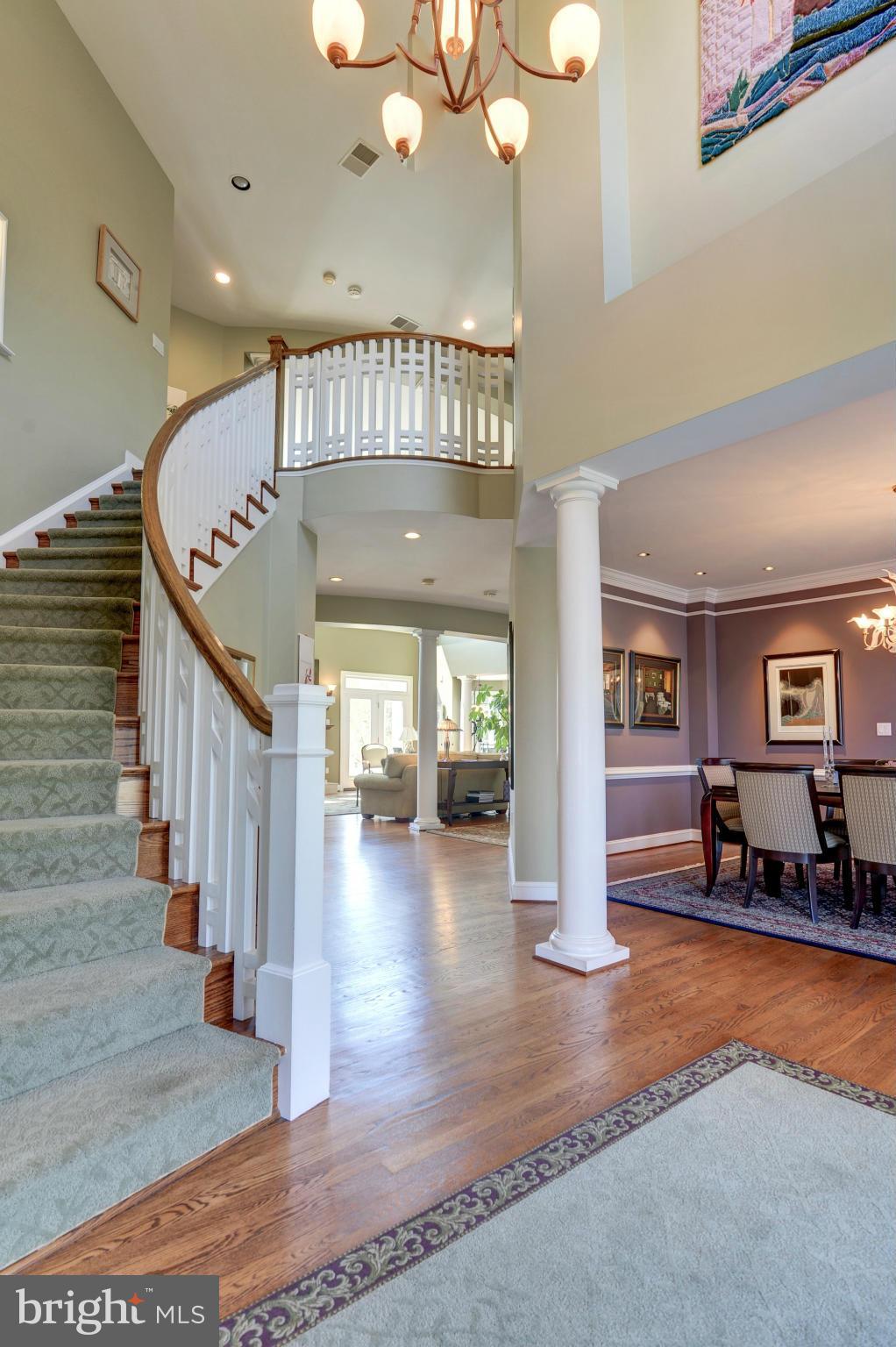 POTOMAC OUTSIDE - Residential