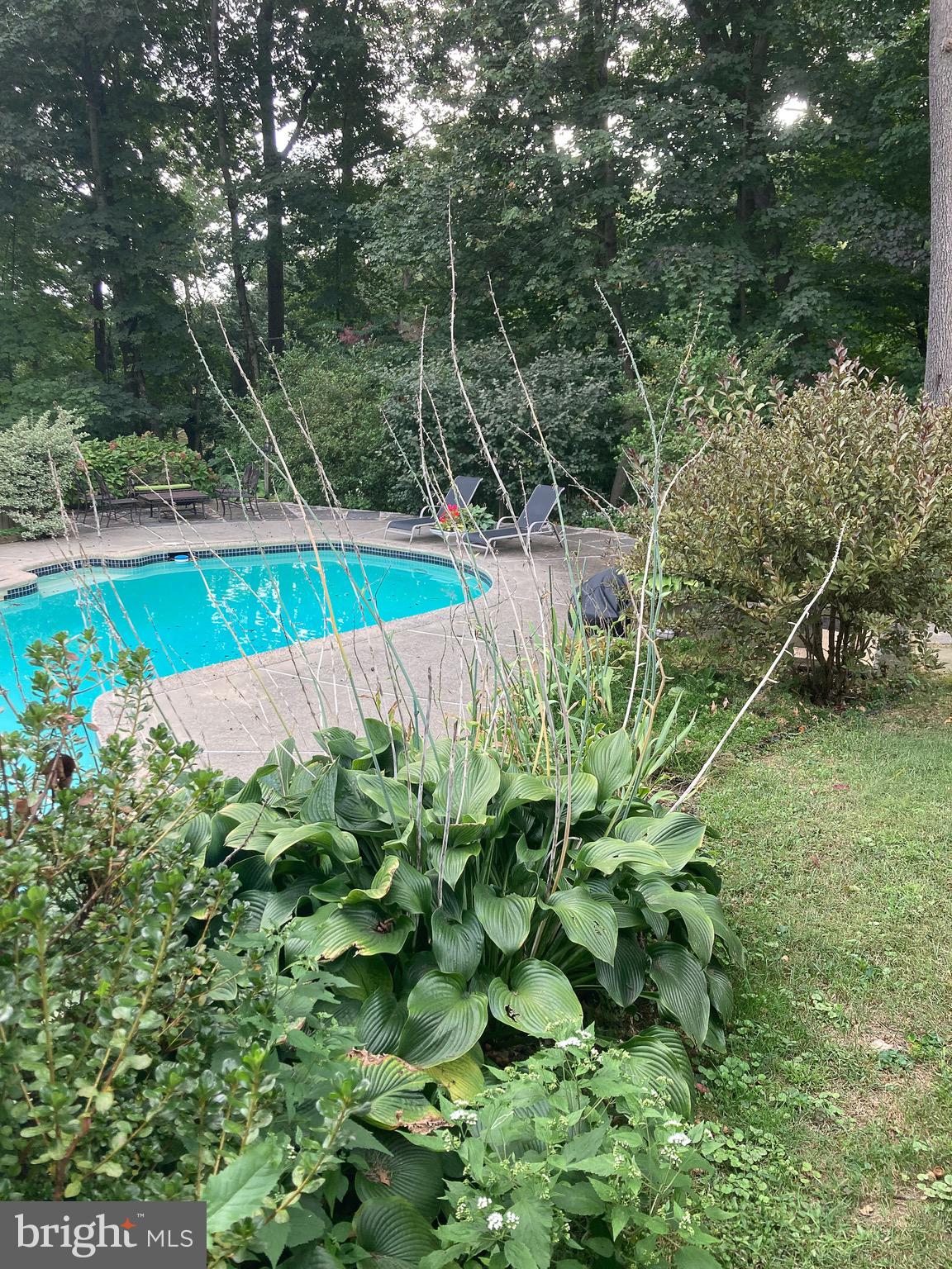 WEIRWOOD - Residential