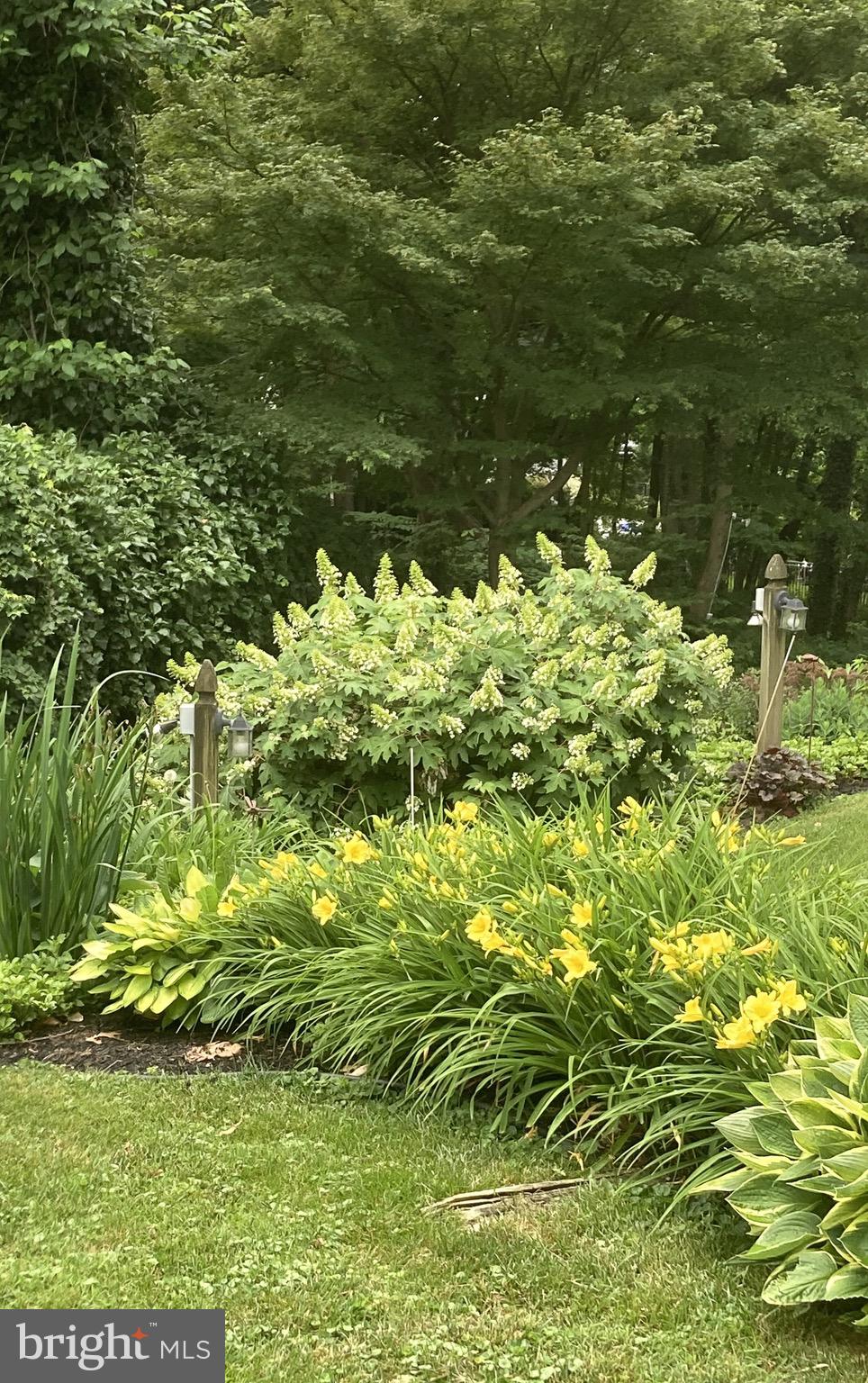 WEIRWOOD - Residential