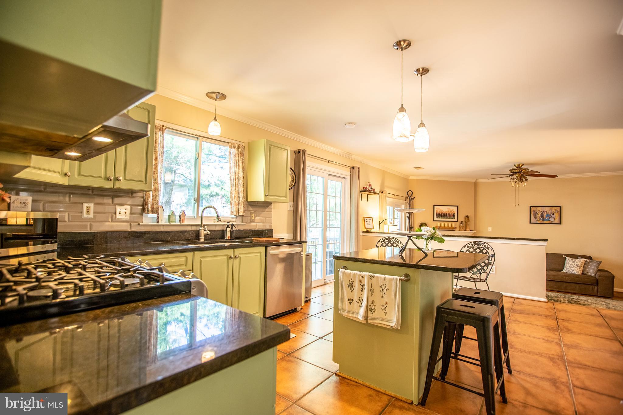 VILLAGE OF CLOPPERS MILL - Residential