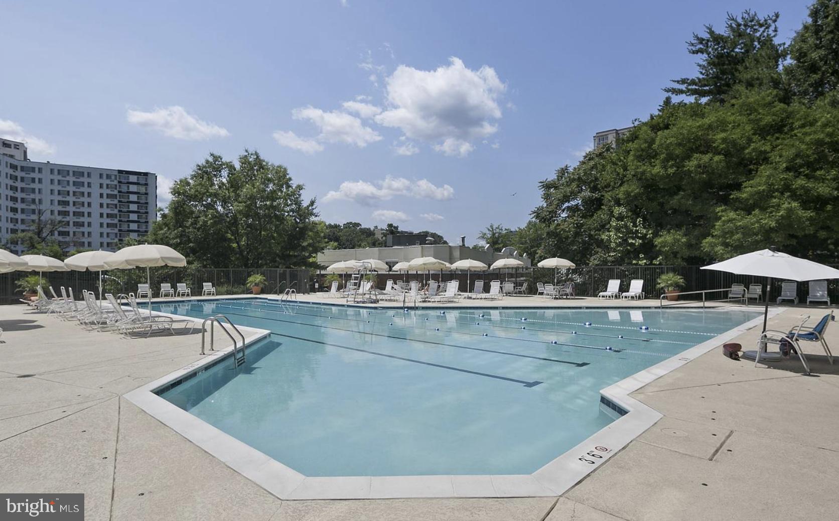 BELVEDERE - Residential Lease