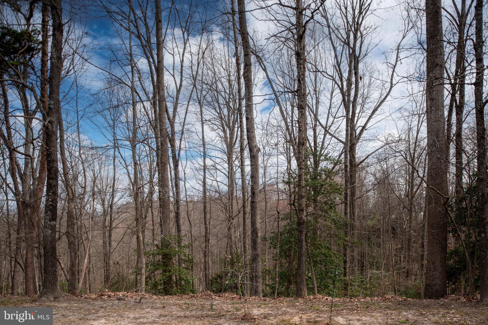 NONE  NO HOA - Residential