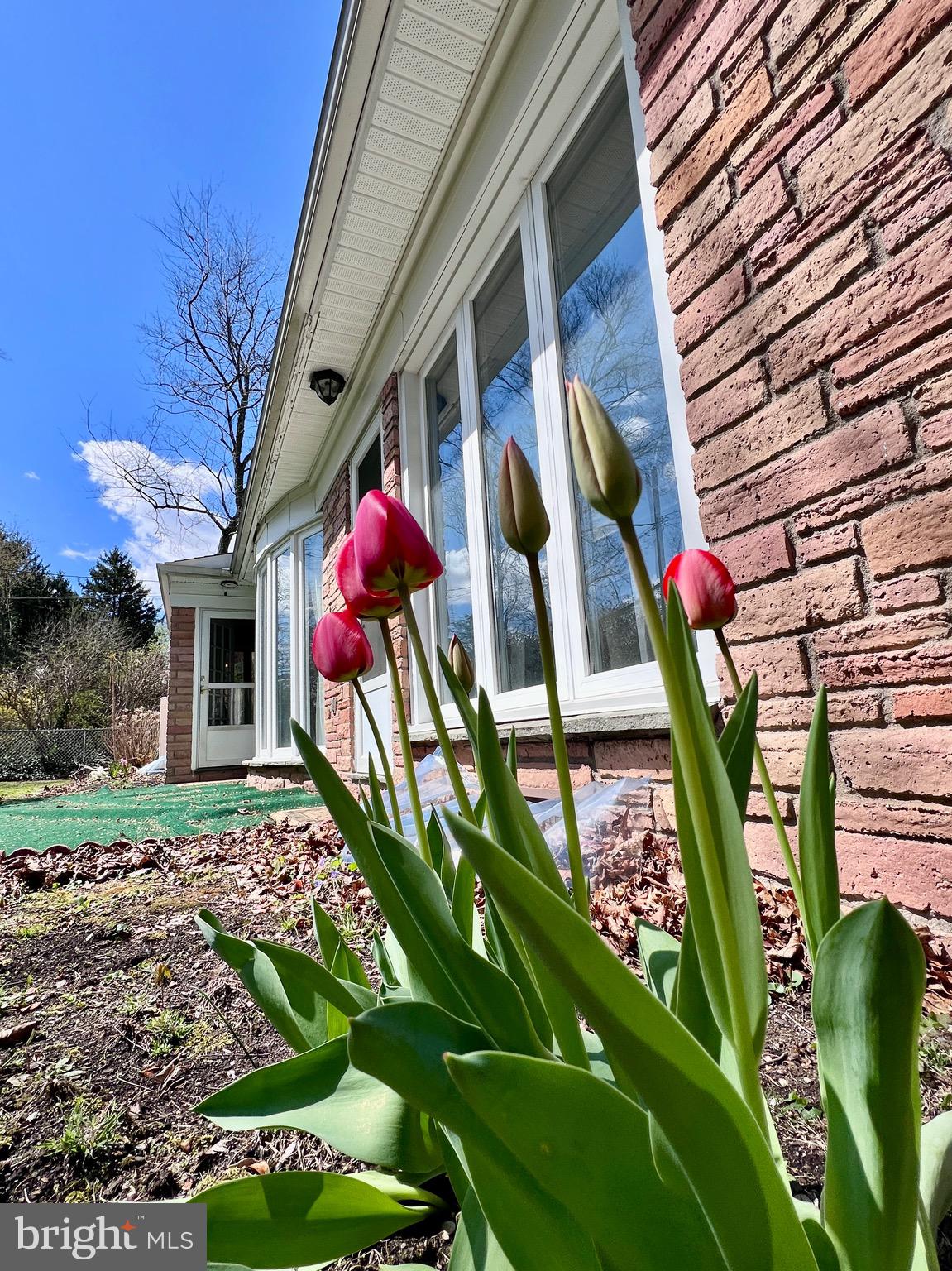 CHELTEN HILLS - Residential