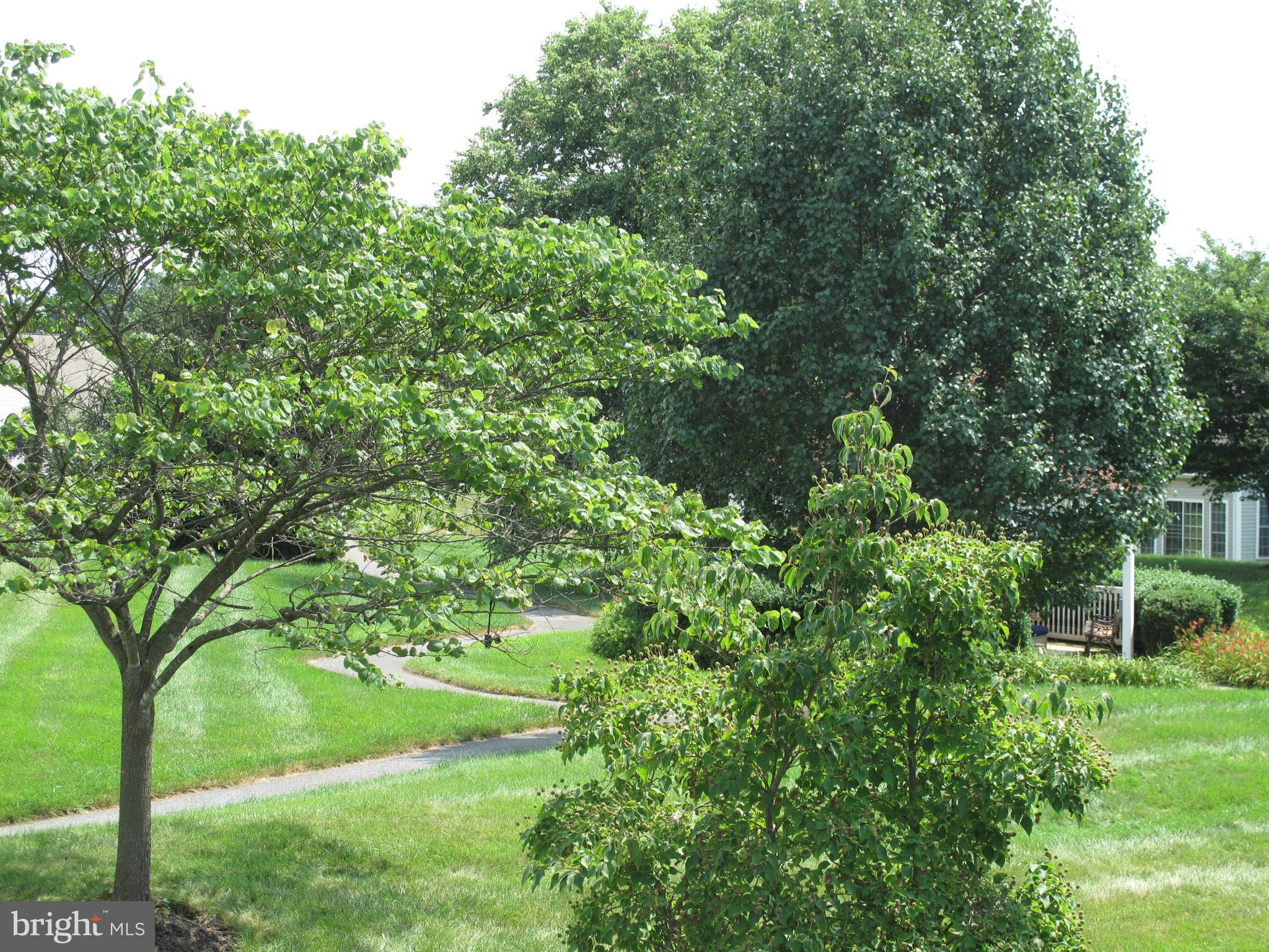 CARROLL VISTA - Residential