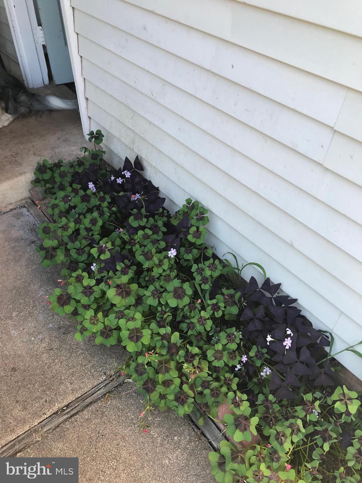 SUGARLAND RUN - Residential