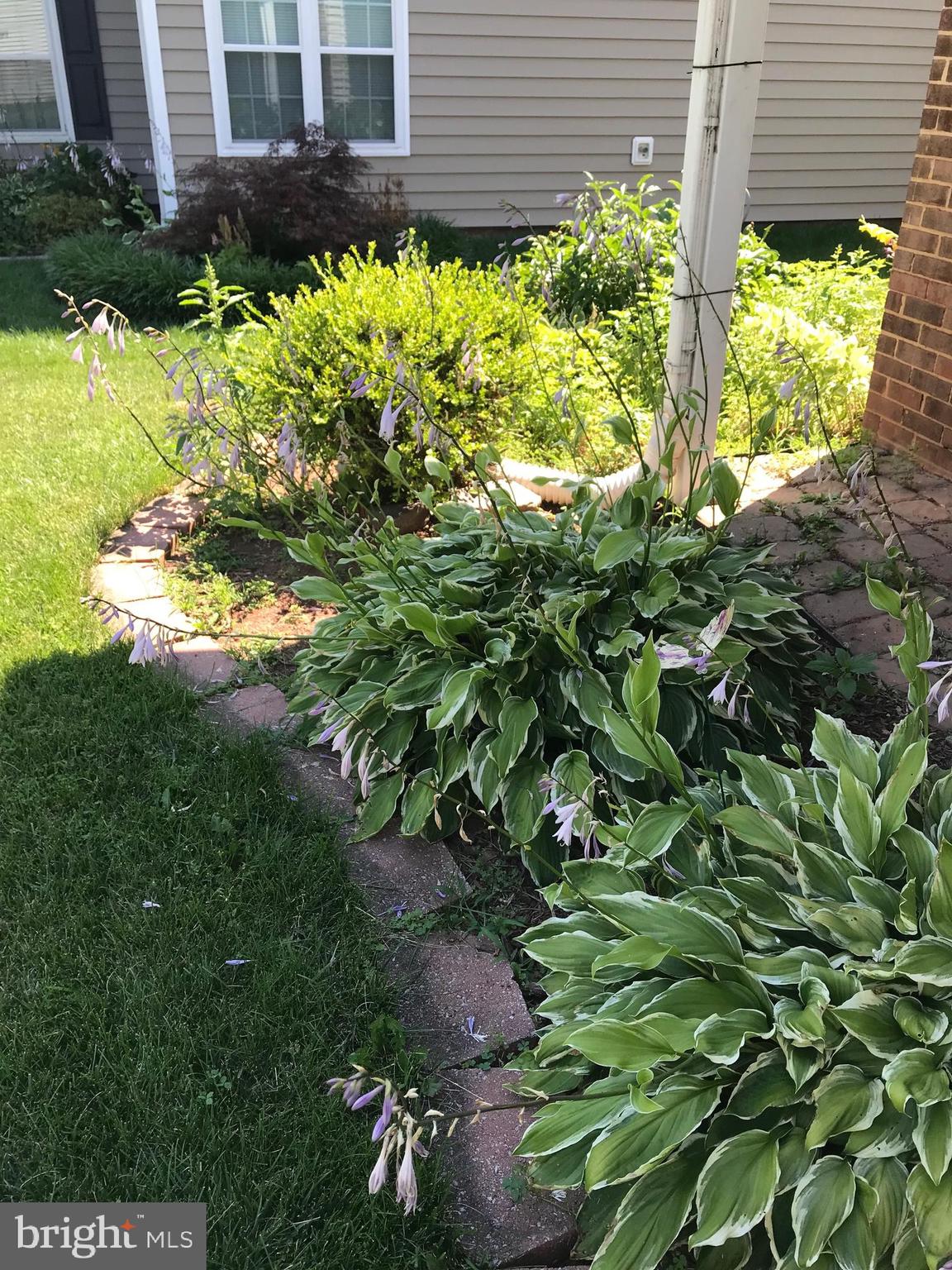 SUGARLAND RUN - Residential