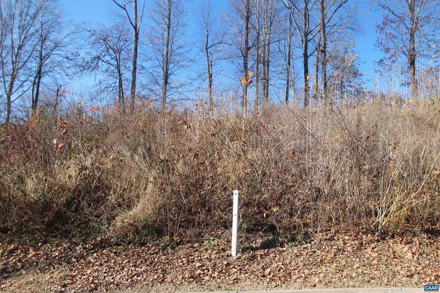 Opportunity to own land in the Camelot neighborhood. This .25-acre wooded lot offers convenient access to Highway 29, shopping, and nearby amenities.