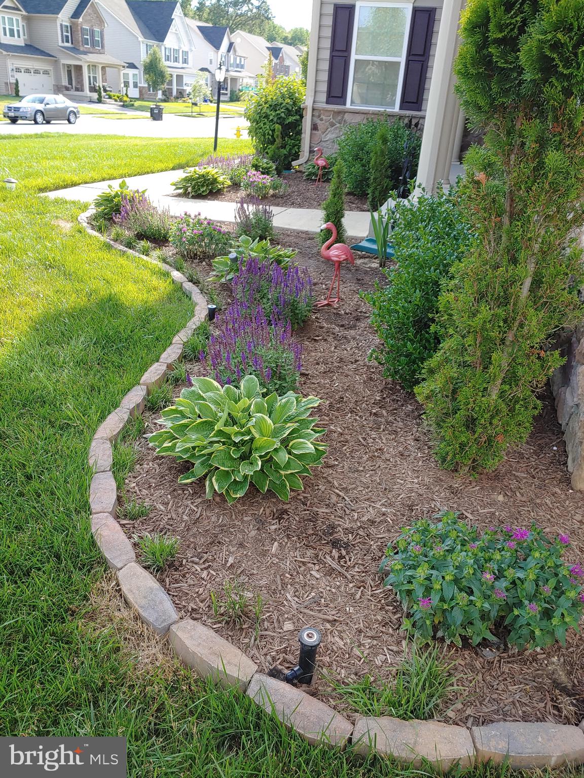 AUTUMN HILLS - Residential