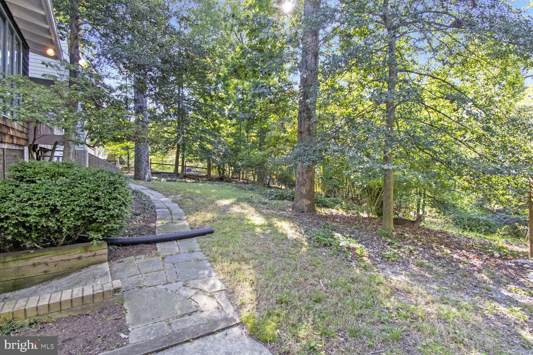 TAKOMA PARK - Residential