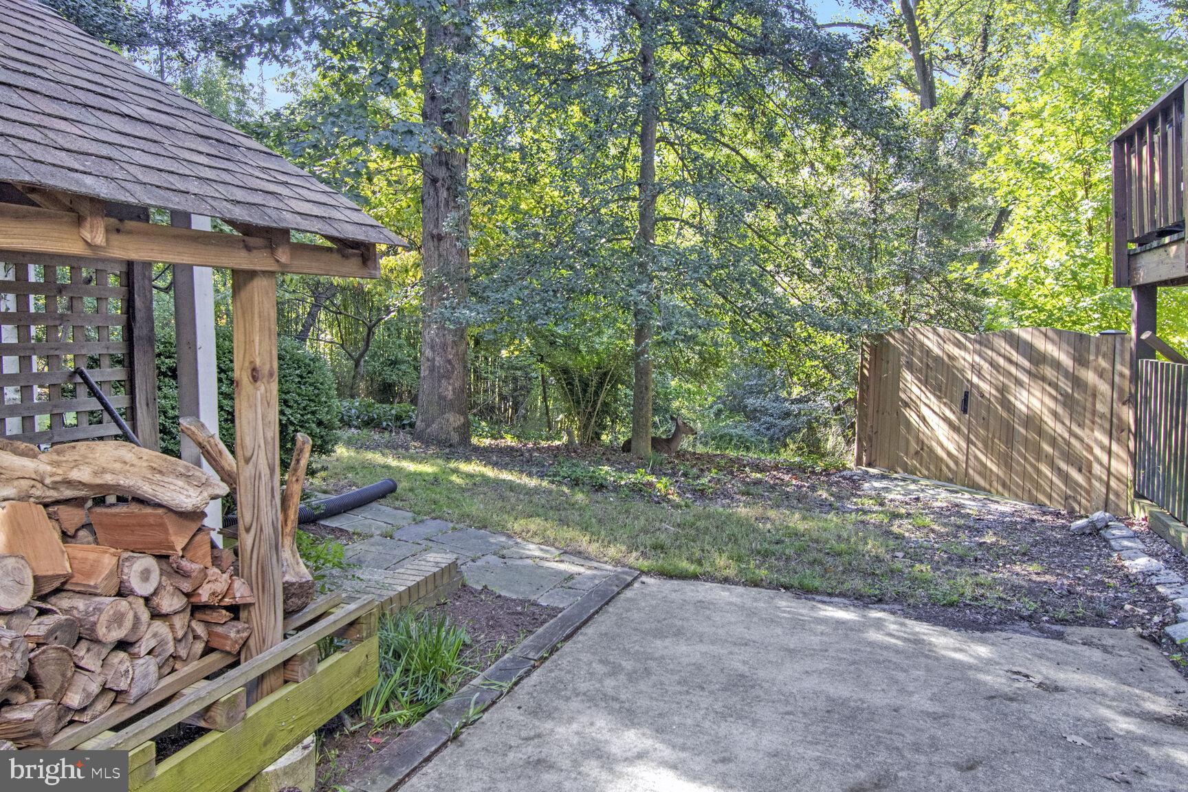 TAKOMA PARK - Residential