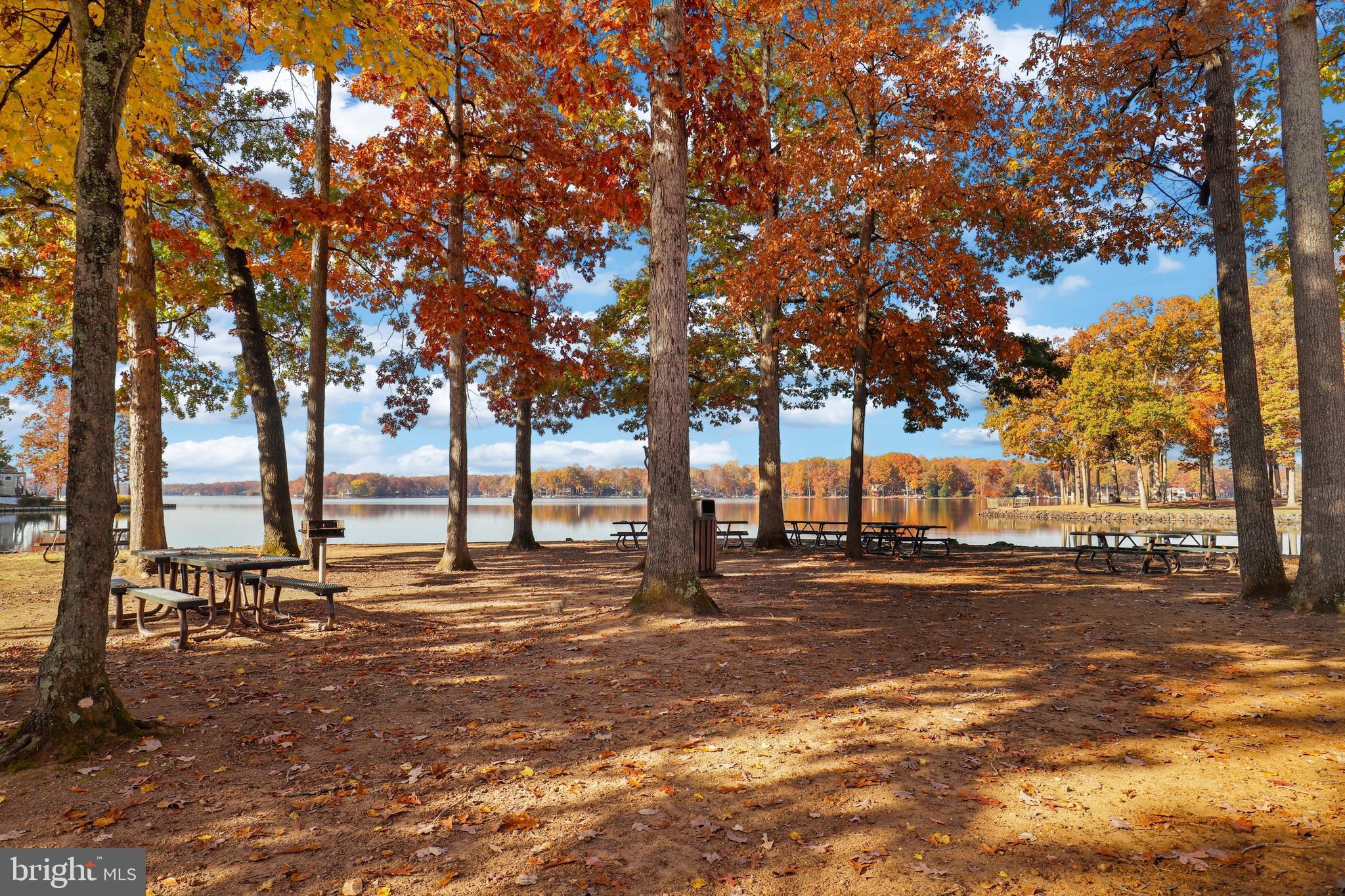 LAKE OF THE WOODS - Residential