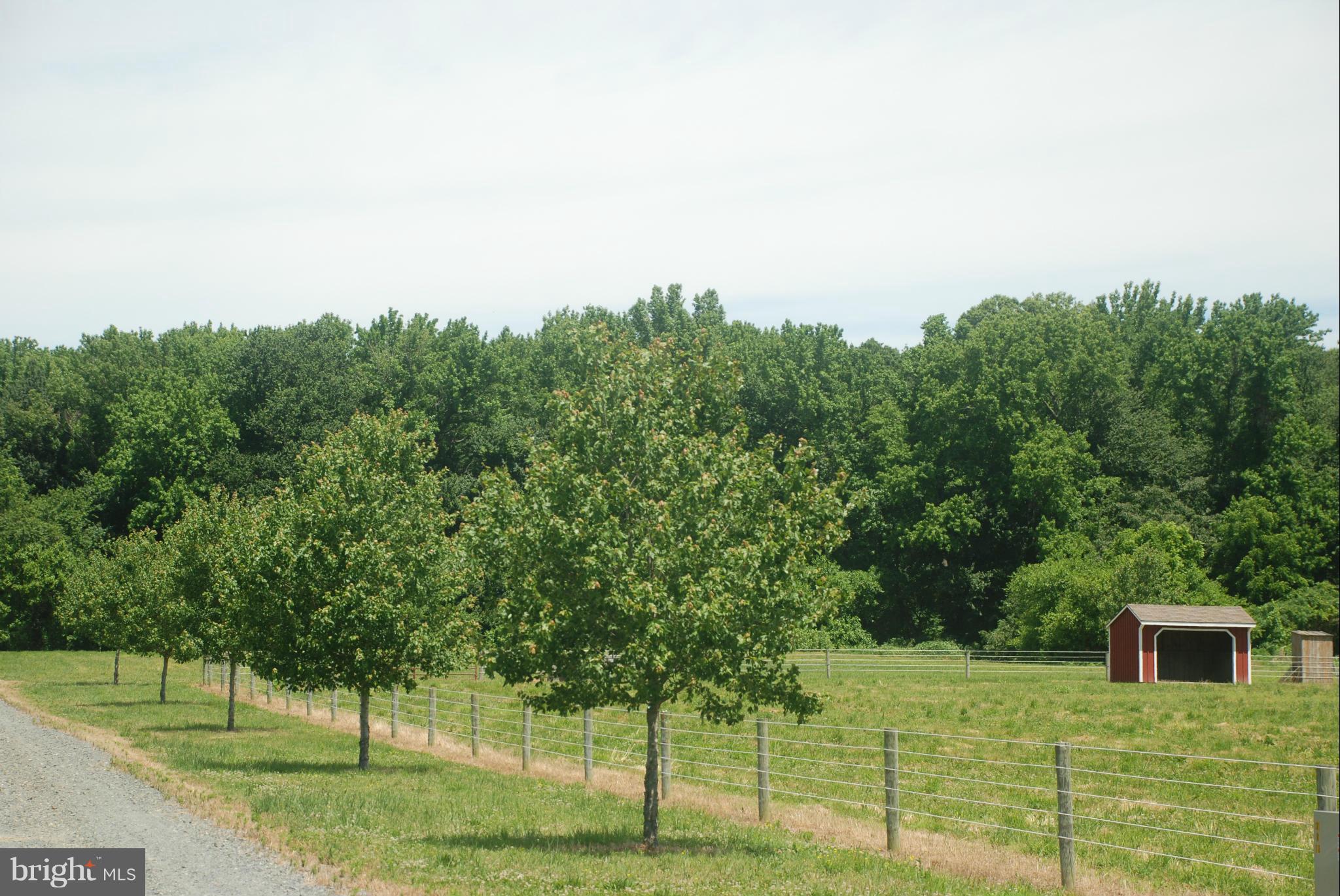 NONE AVAILABLE - Land