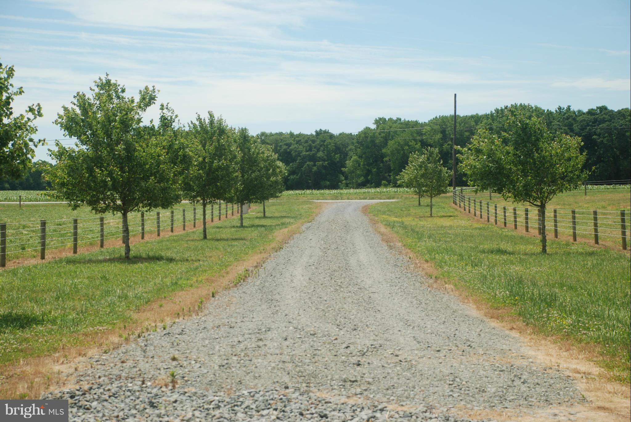 NONE AVAILABLE - Land