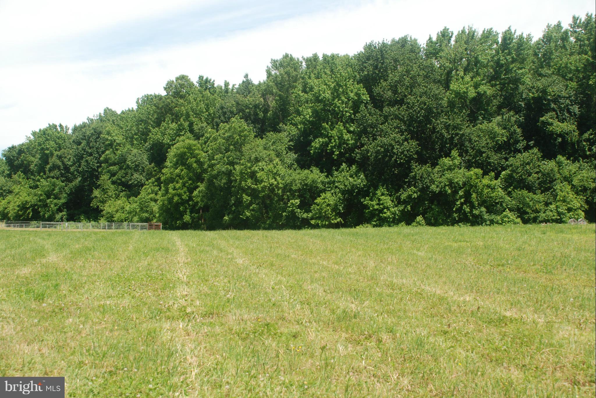 NONE AVAILABLE - Land