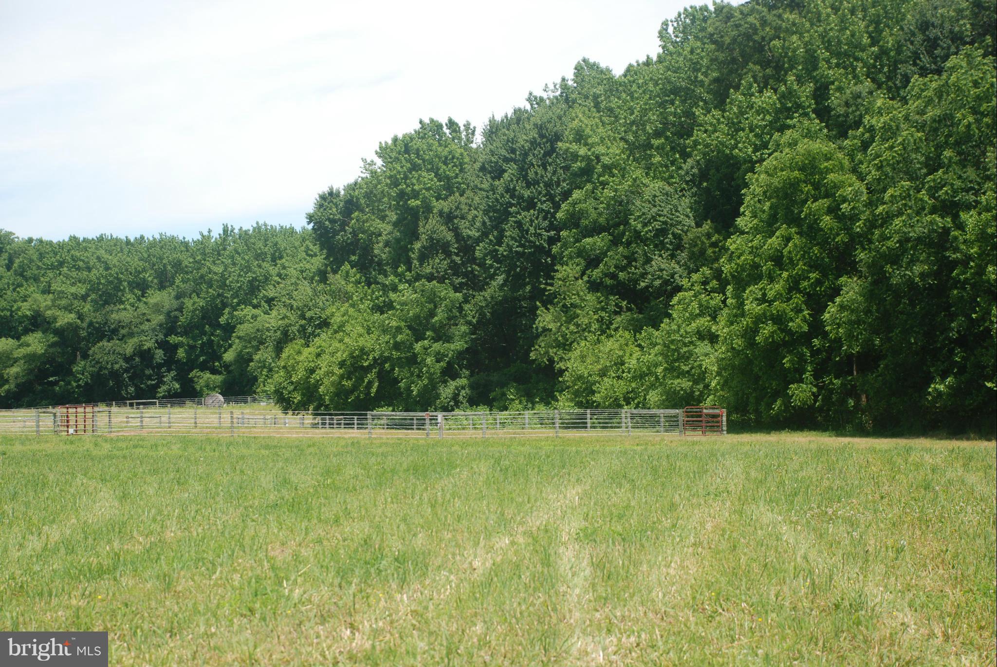 NONE AVAILABLE - Land