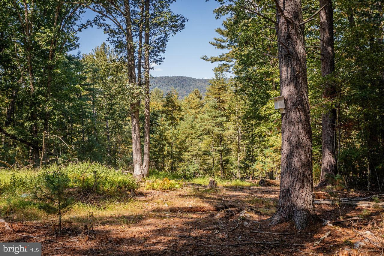 PLAINS - Residential