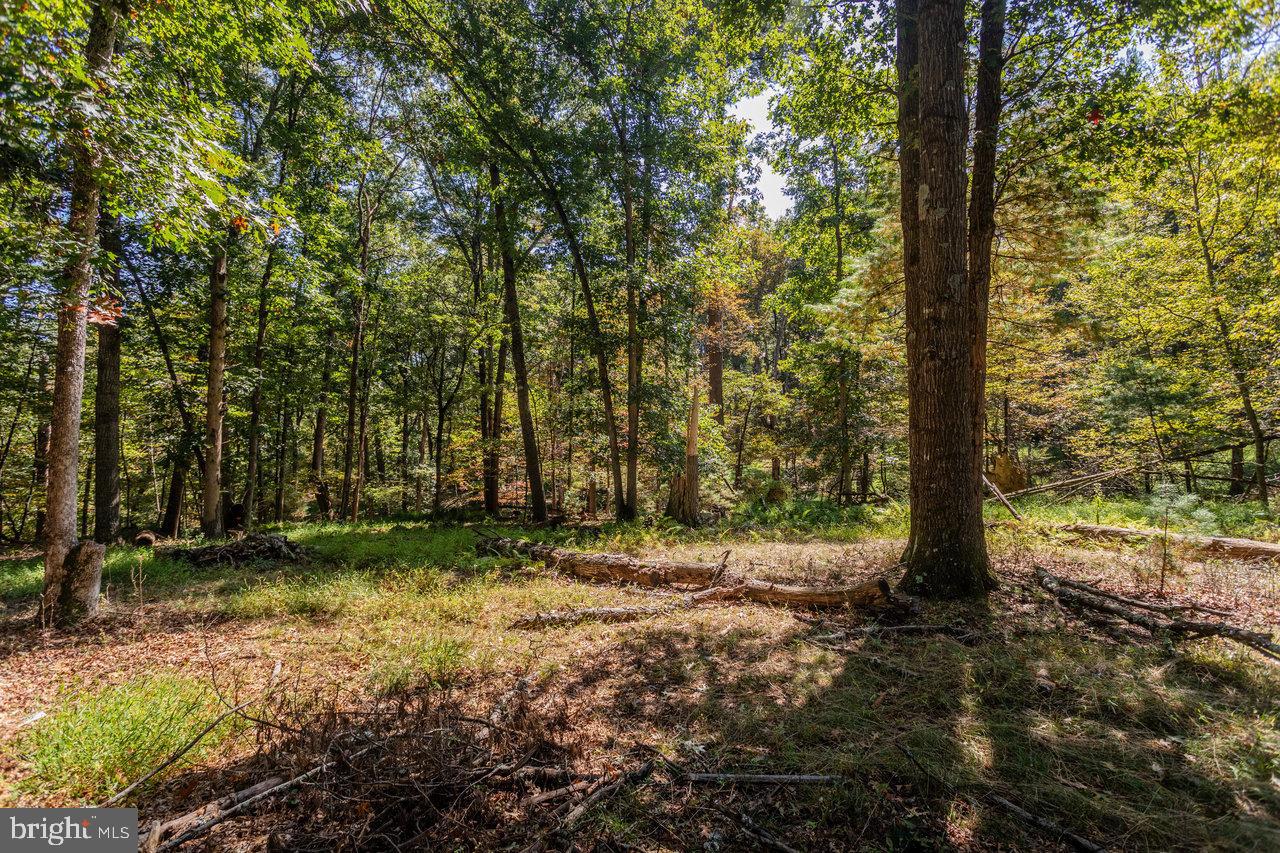 PLAINS - Residential